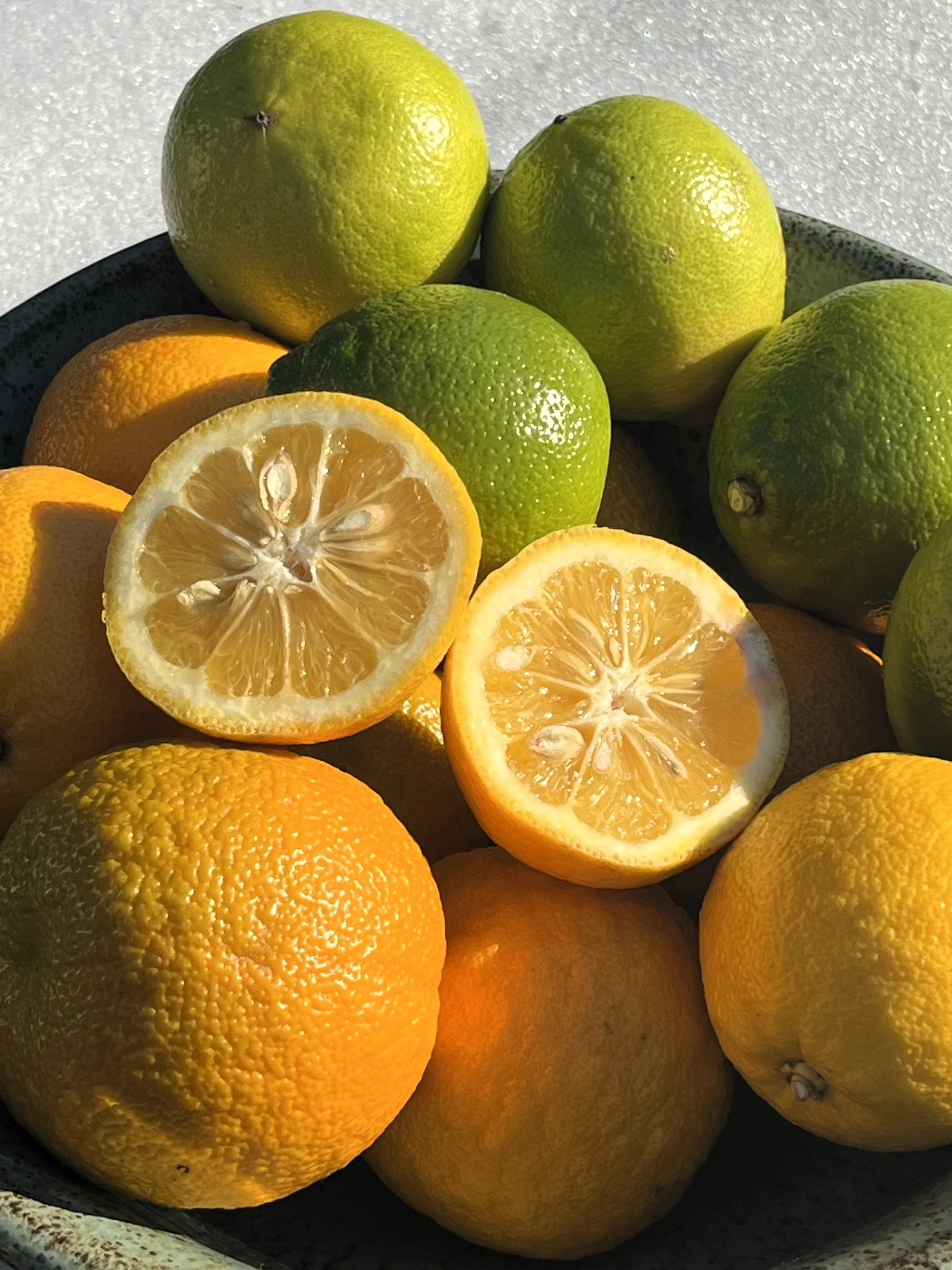 Seville Oranges & bergs 3STAR.jpg