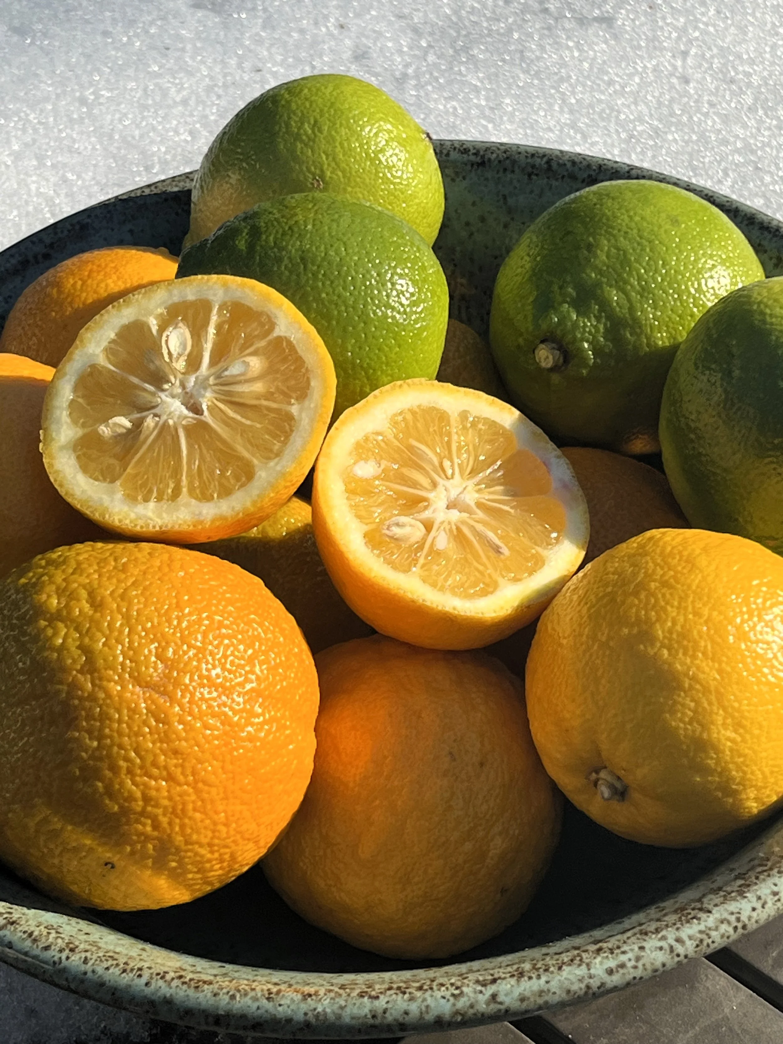 Seville Oranges & bergs 2STAR.jpg