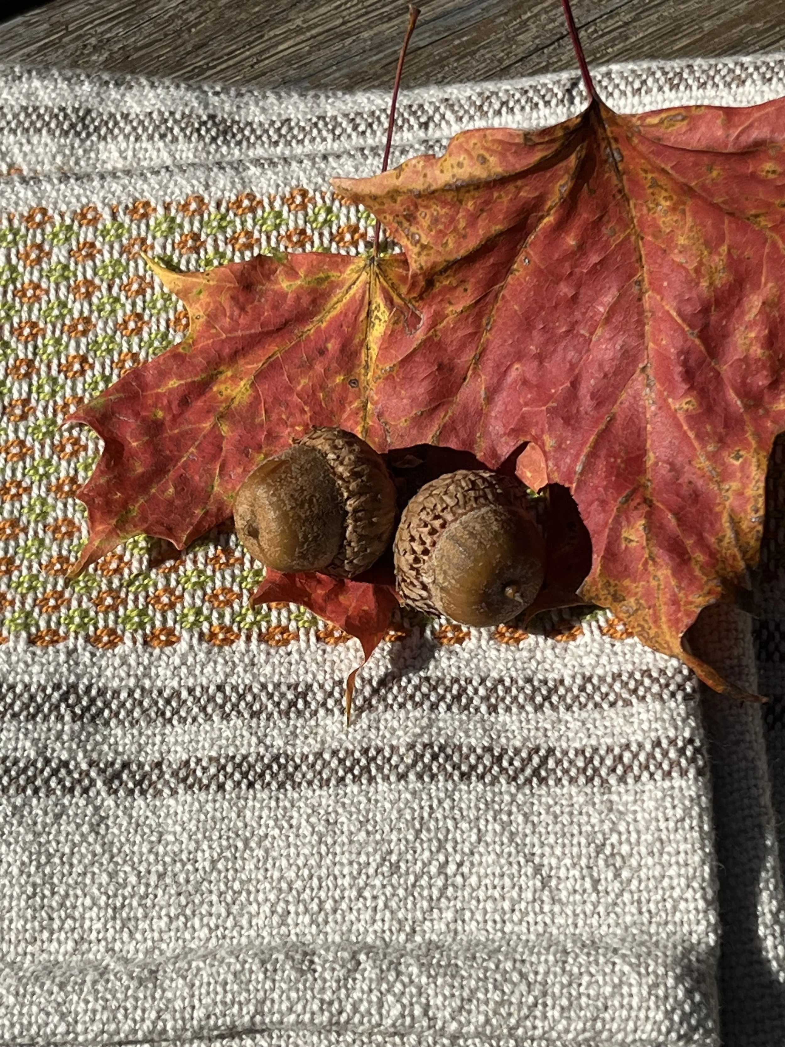 Thanksgiving 2025 1.jpg