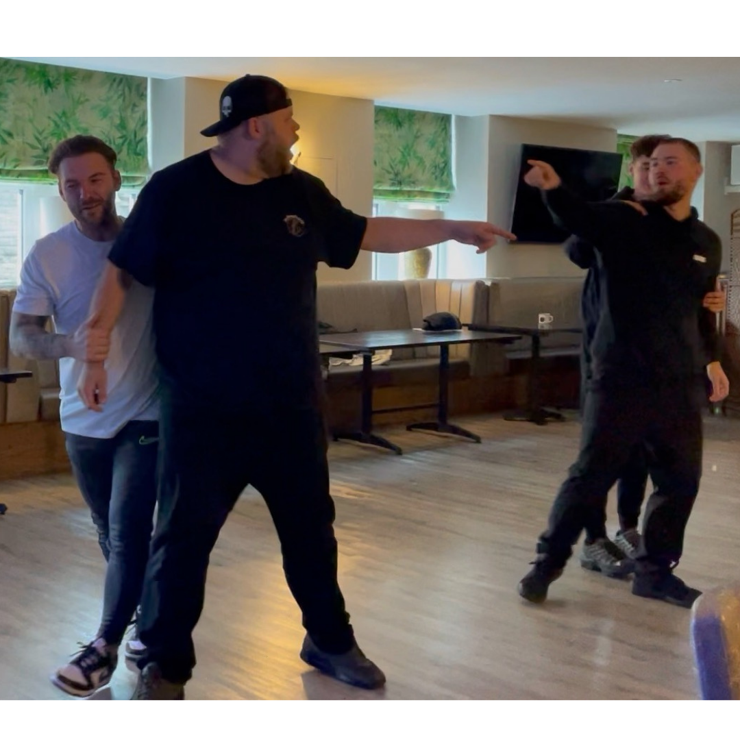 ds grpahic site 1.png