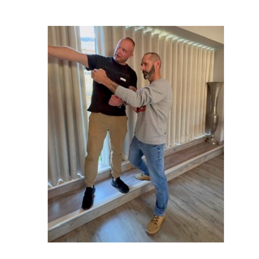 ds grpahic site 2.png