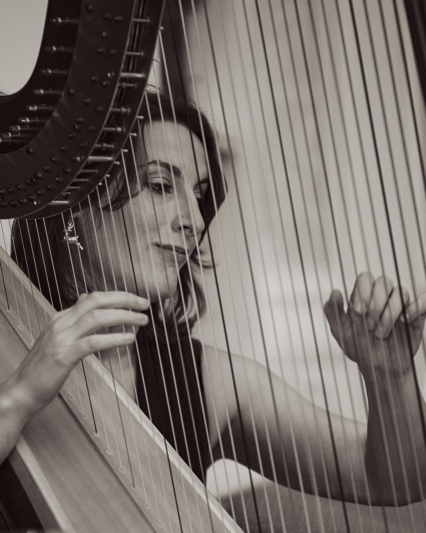 Black and white photo of a woman playing a harp, view from the side, with her face close to the strings, focusing on her expression and hand.
