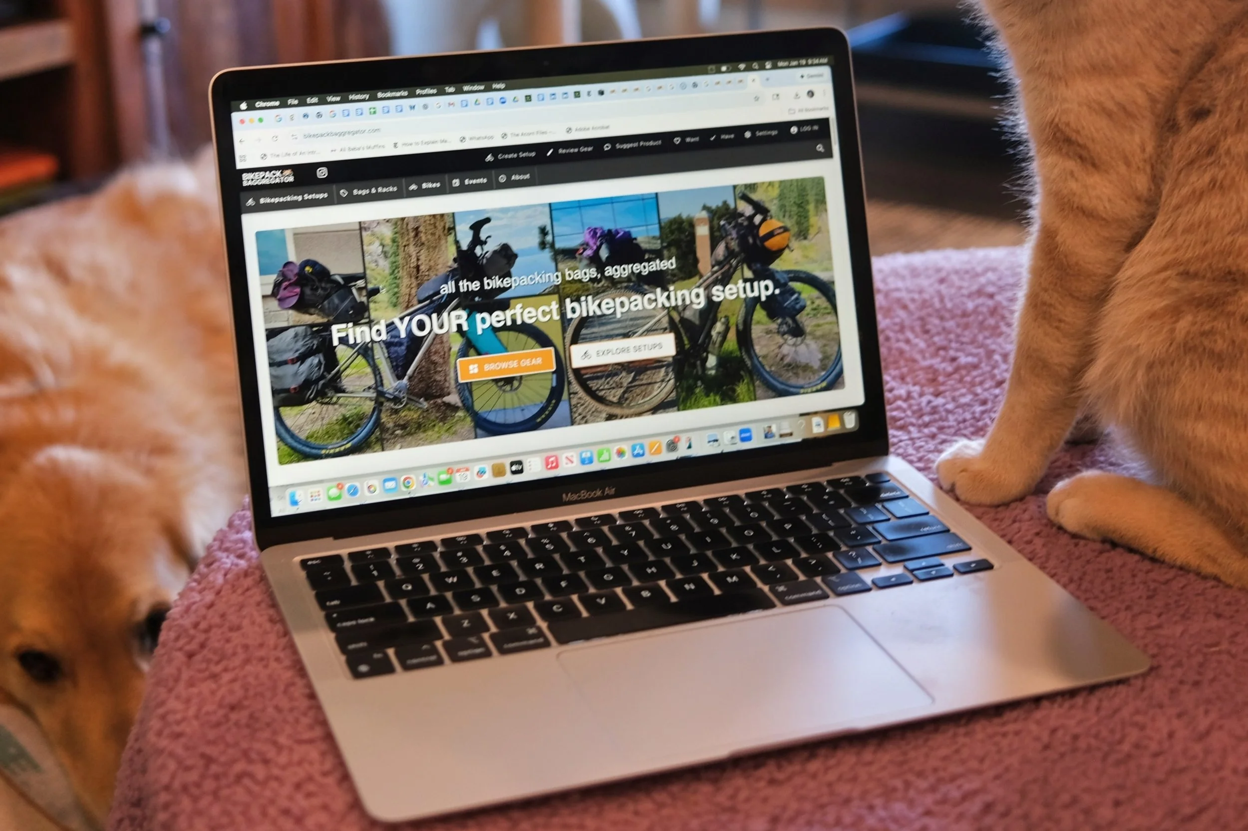 An Interview with Alissa Bell, Creator of BikepackBaggregator.com