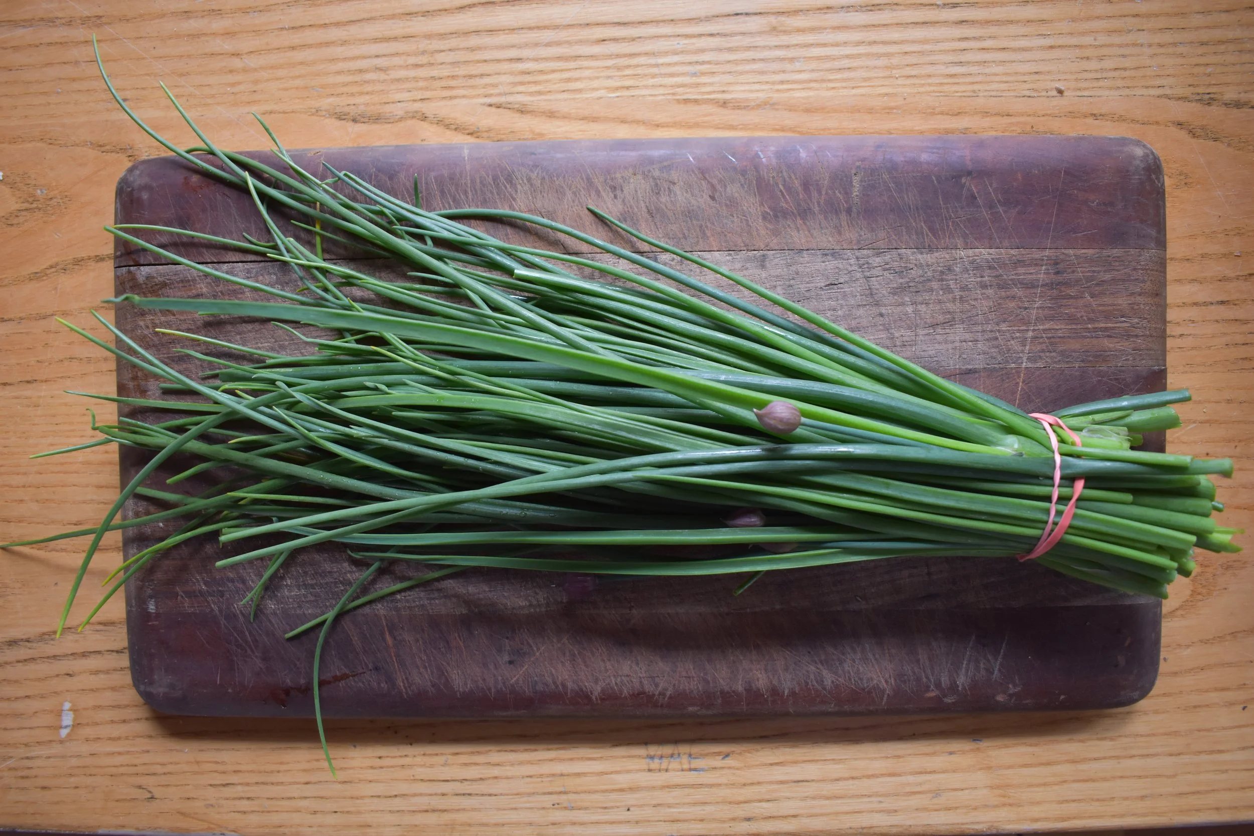 Spring Obsession Chive Pesto