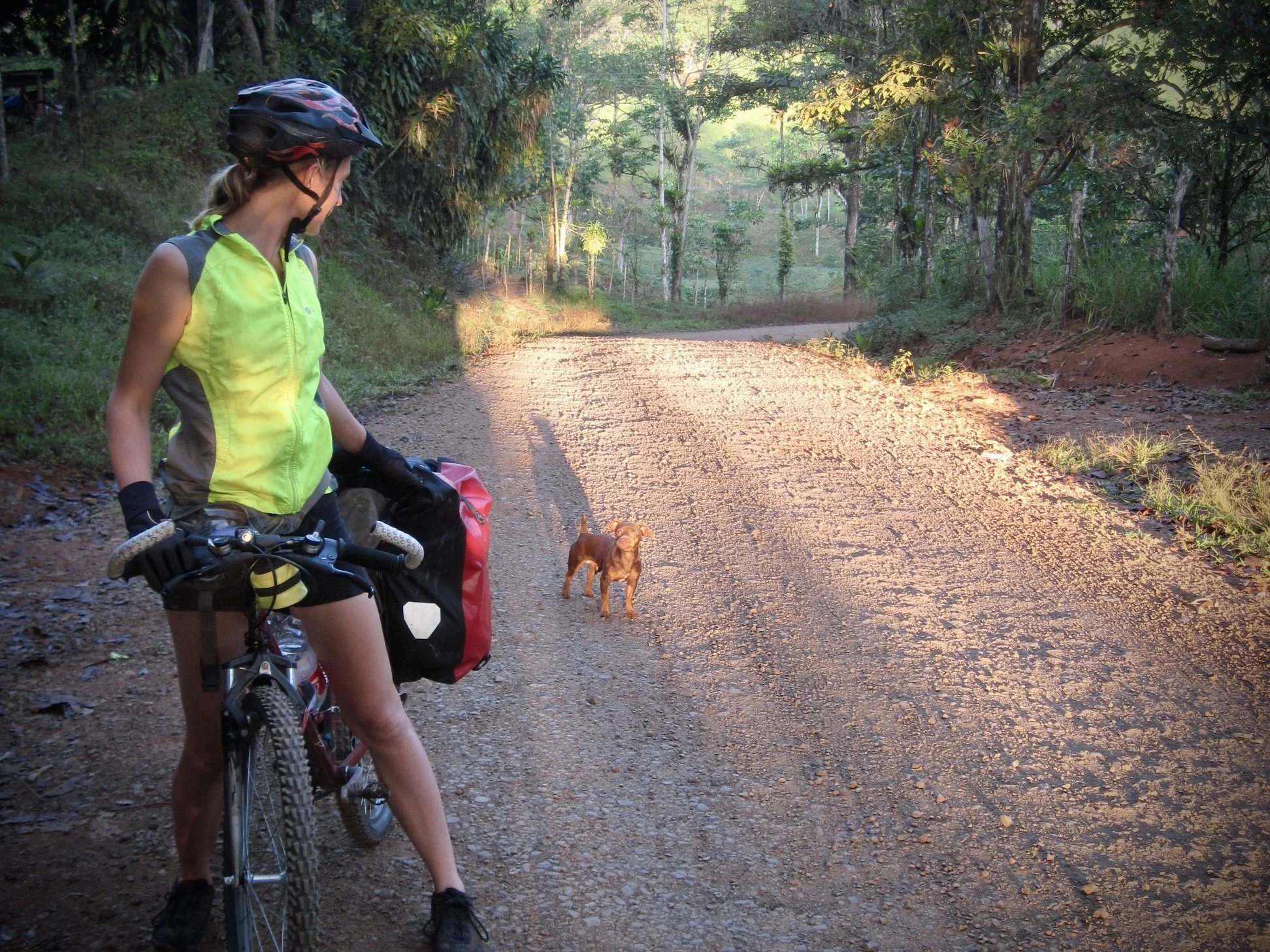 A cyclist looks at a puppy behind her.