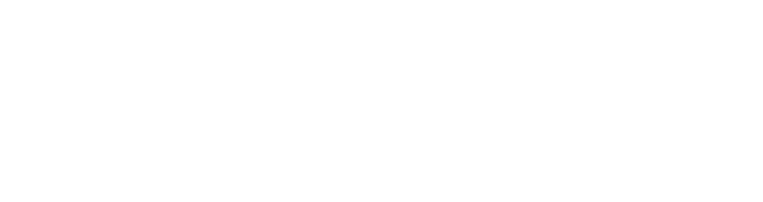 Stance Jiu Jitsu Academy