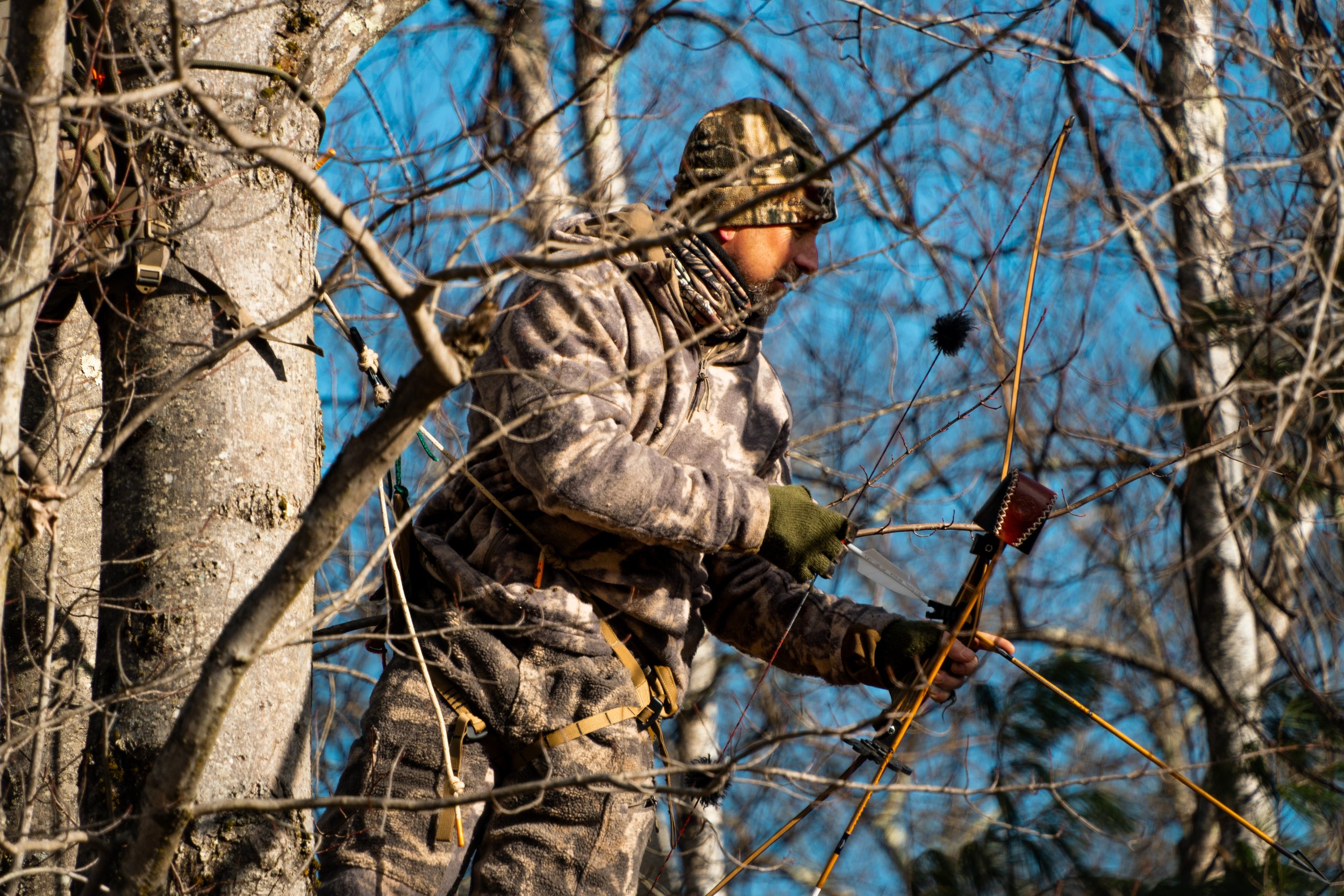 Bow hunting from a tree
