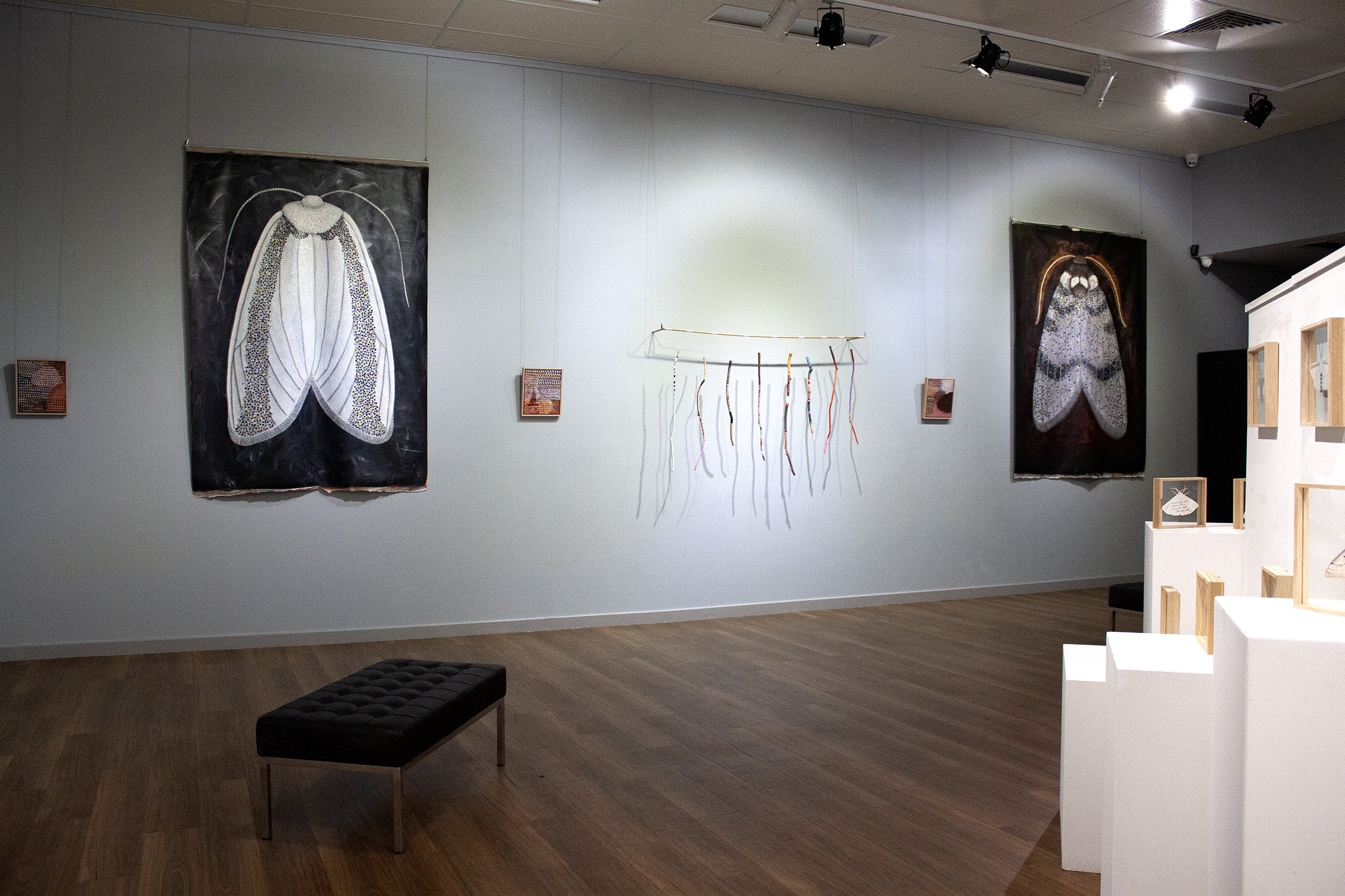 MOTH II Katanning regional gallery exhibition, 3Chelsea Hopkins-Allan 2021 - websized.jpg