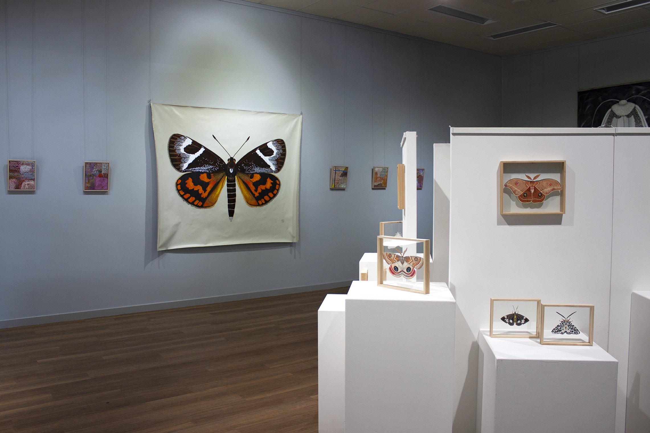 MOTH II Katanning regional gallery exhibition, sunmoth 1, Chelsea Hopkins-Allan 2021 -websized.jpg