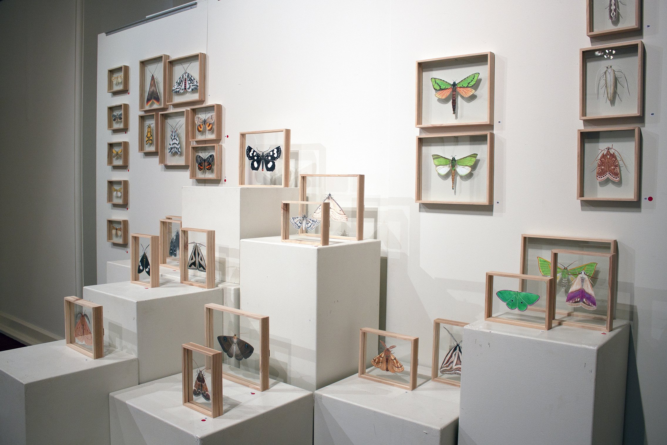 MOTH exhibition at the VAC, Chelsea Hopkins-Allan, 2019 (1.4).jpg