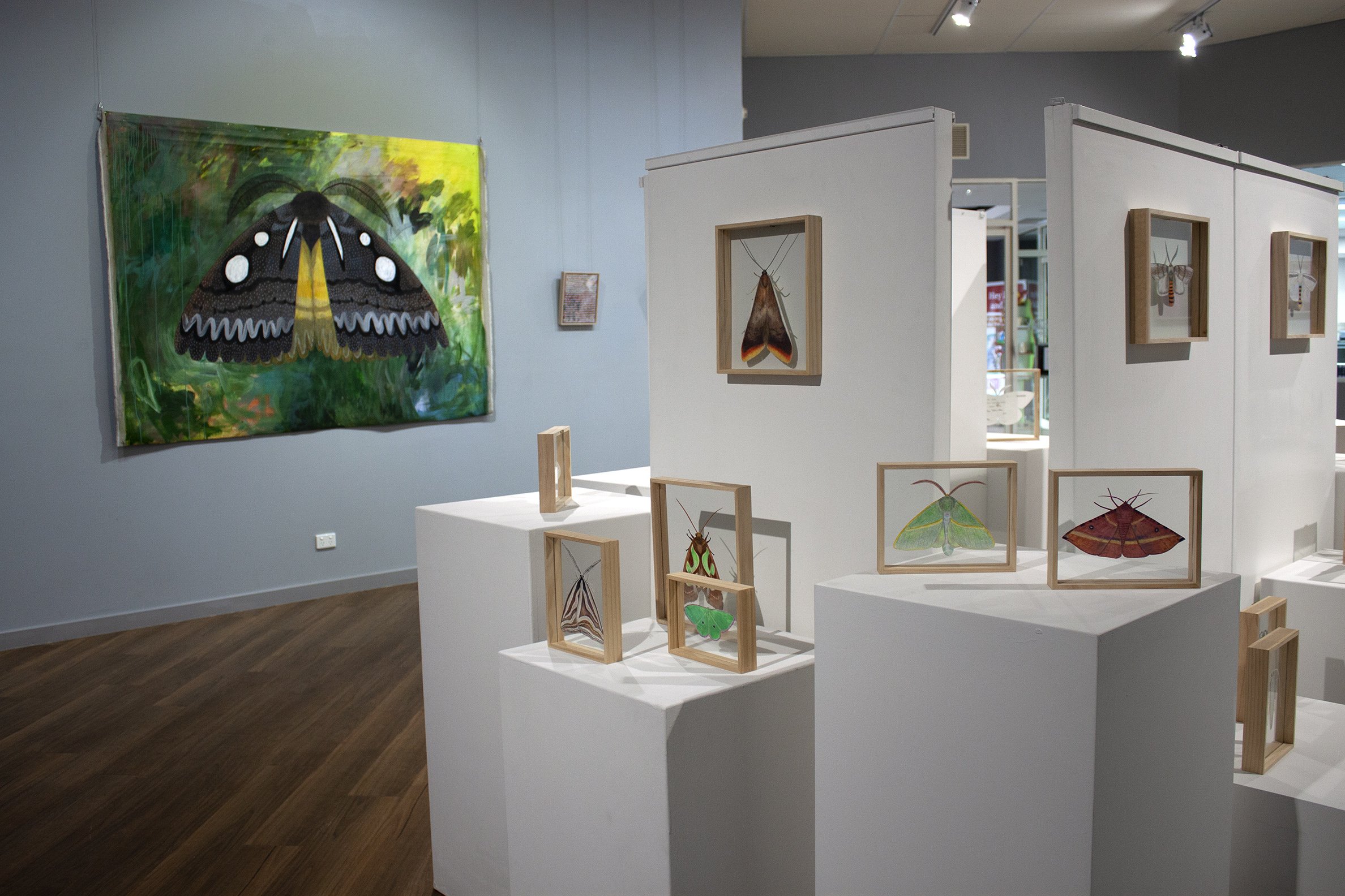 MOTH II Katanning regional gallery exhibition,2 , Chelsea Hopkins-Allan 2021 - websized.jpg