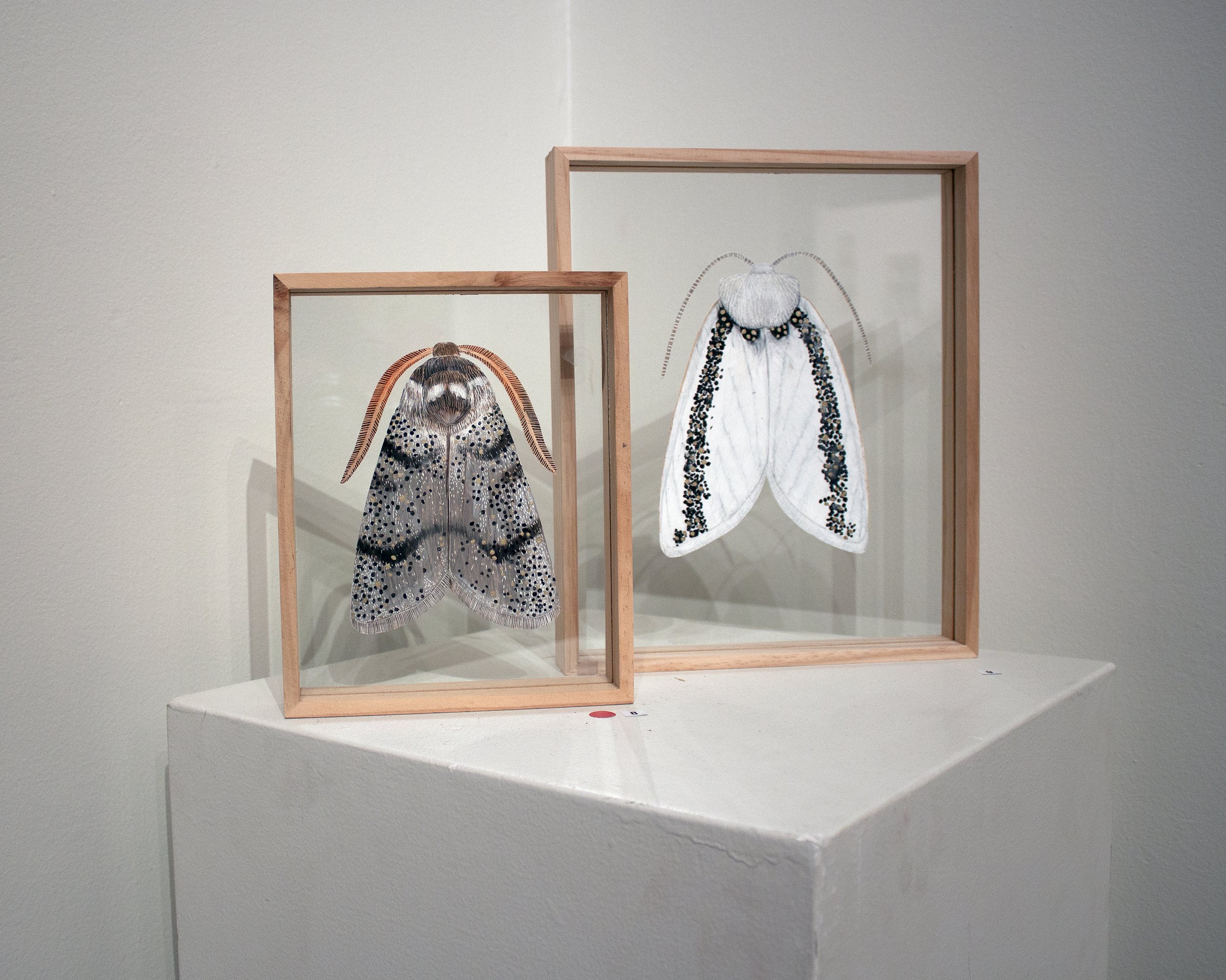 MOTH exhibition at the VAC, Chelsea Hopkins-Allan, 2019 (24.4).jpg