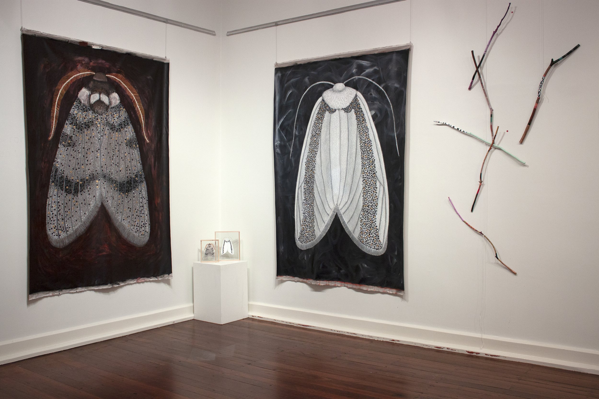MOTH exhibition at the VAC, Chelsea Hopkins-Allan, 2019 (12).jpg