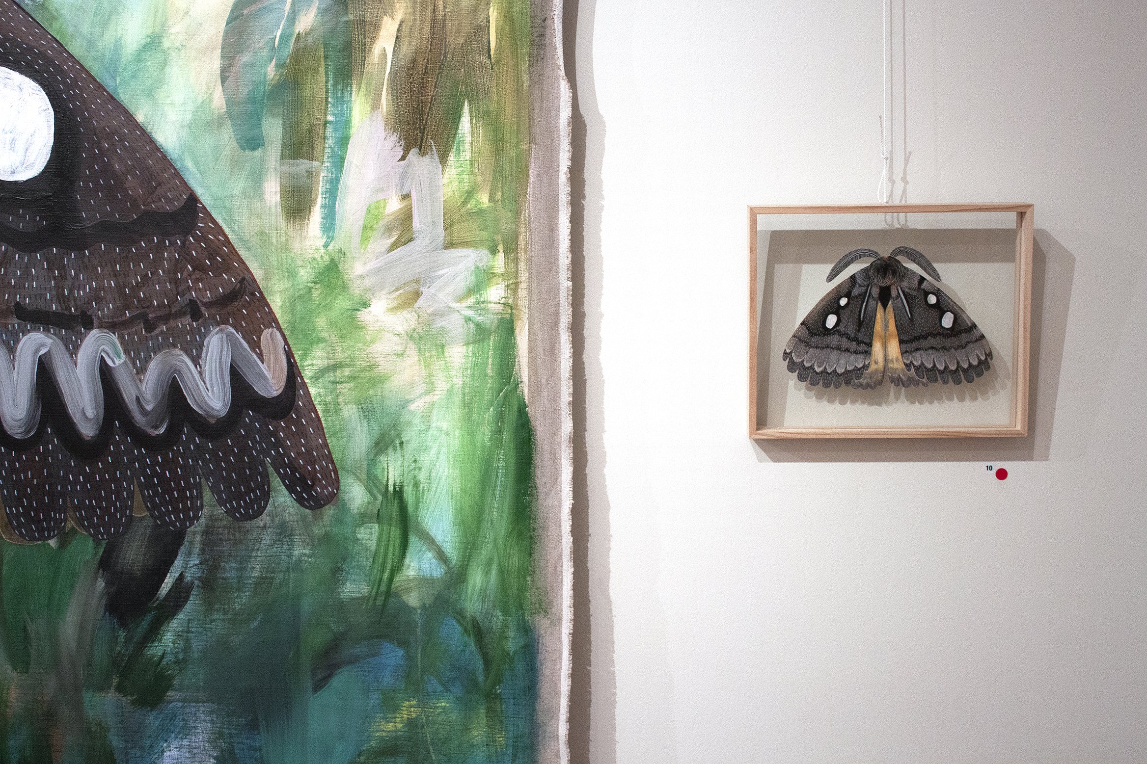 MOTH exhibition at the VAC, Chelsea Hopkins-Allan, 2019 (2.2).jpg