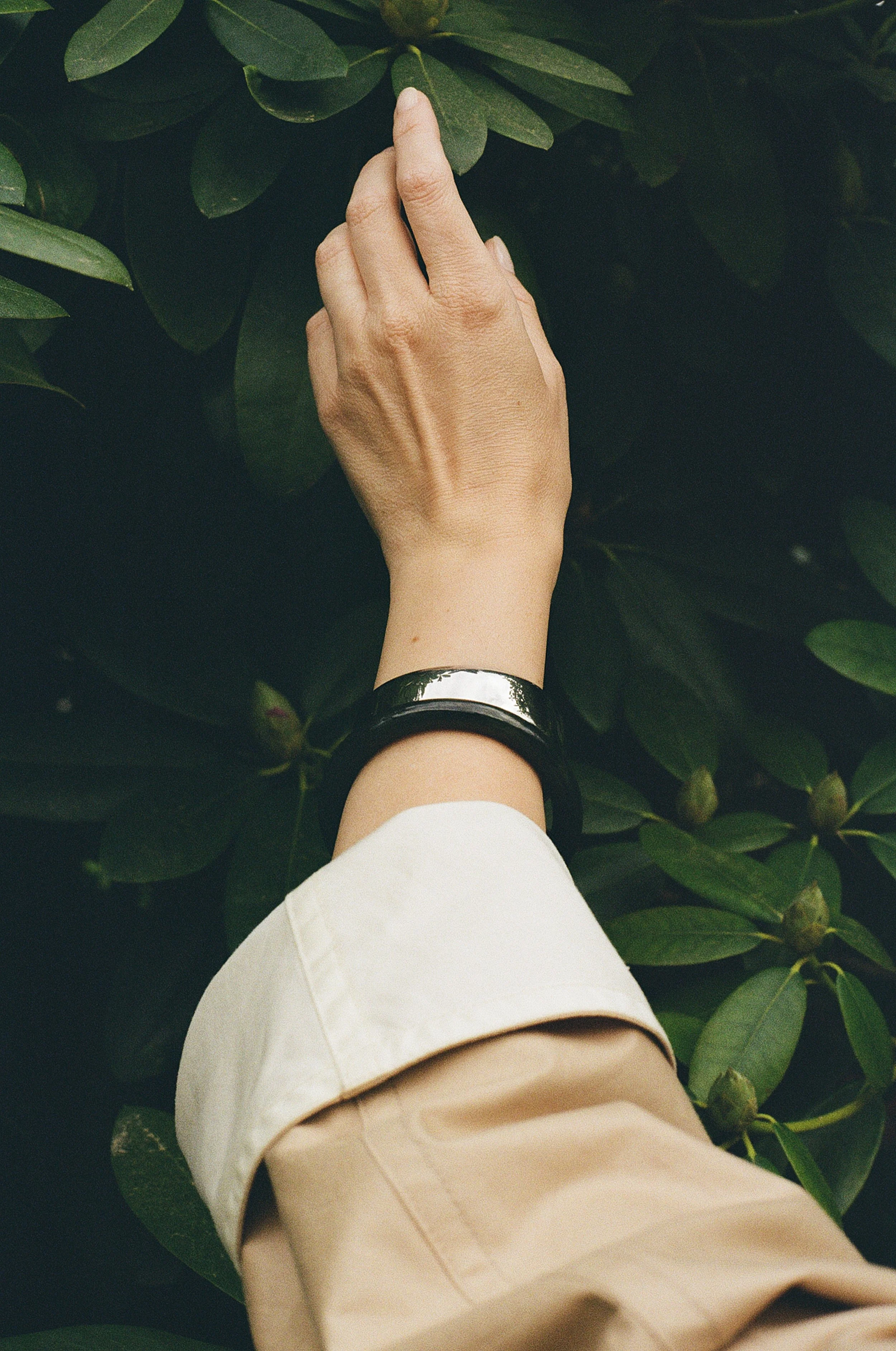 12402_028.jpg