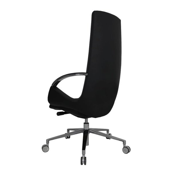 Lunar Executive Leather Rear.jpg