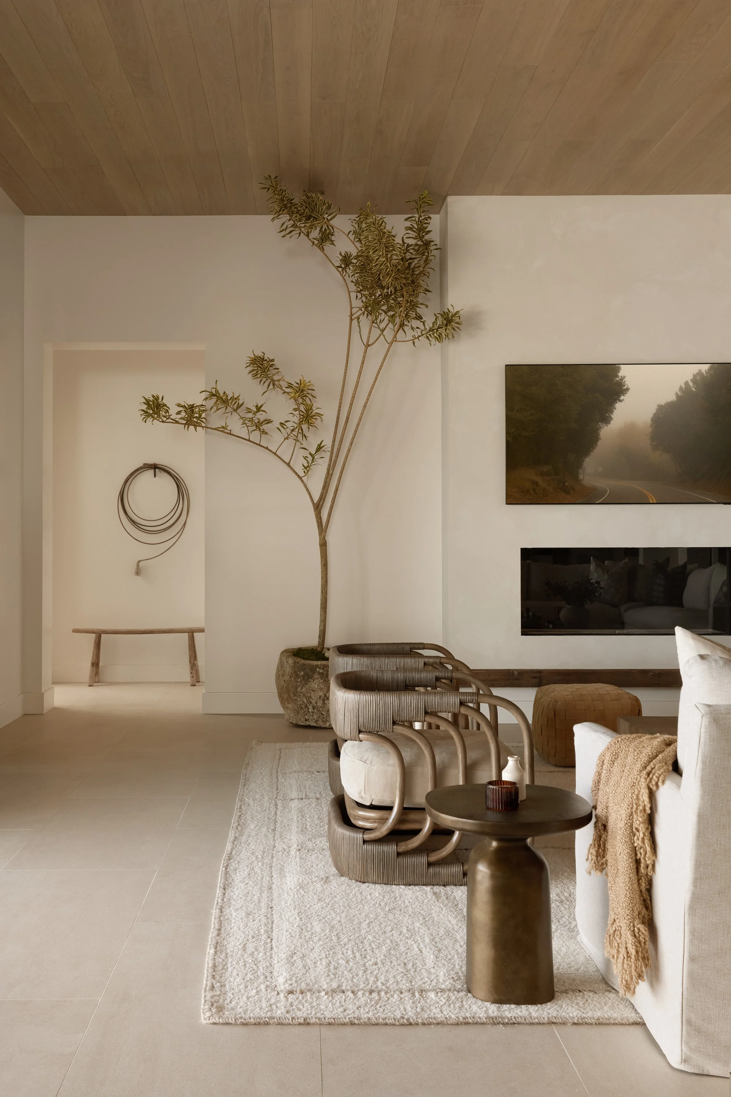 Hagit Taylor Design12243.jpg
