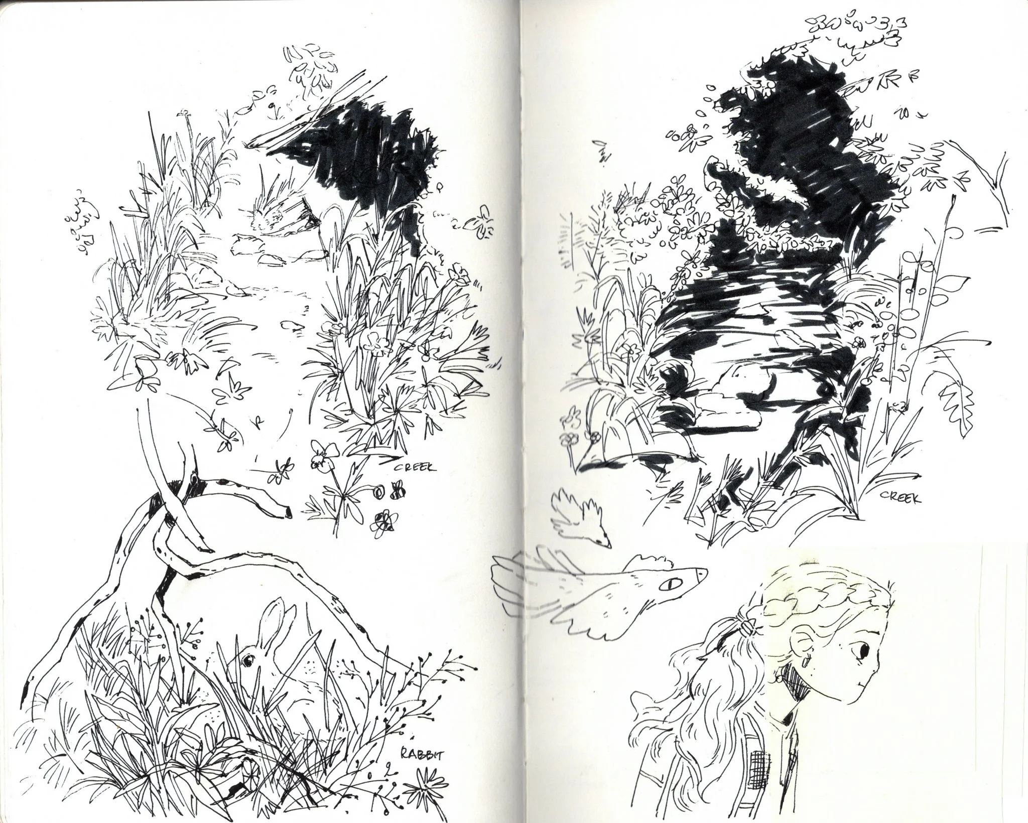 Sketchbook-01-11.jpg