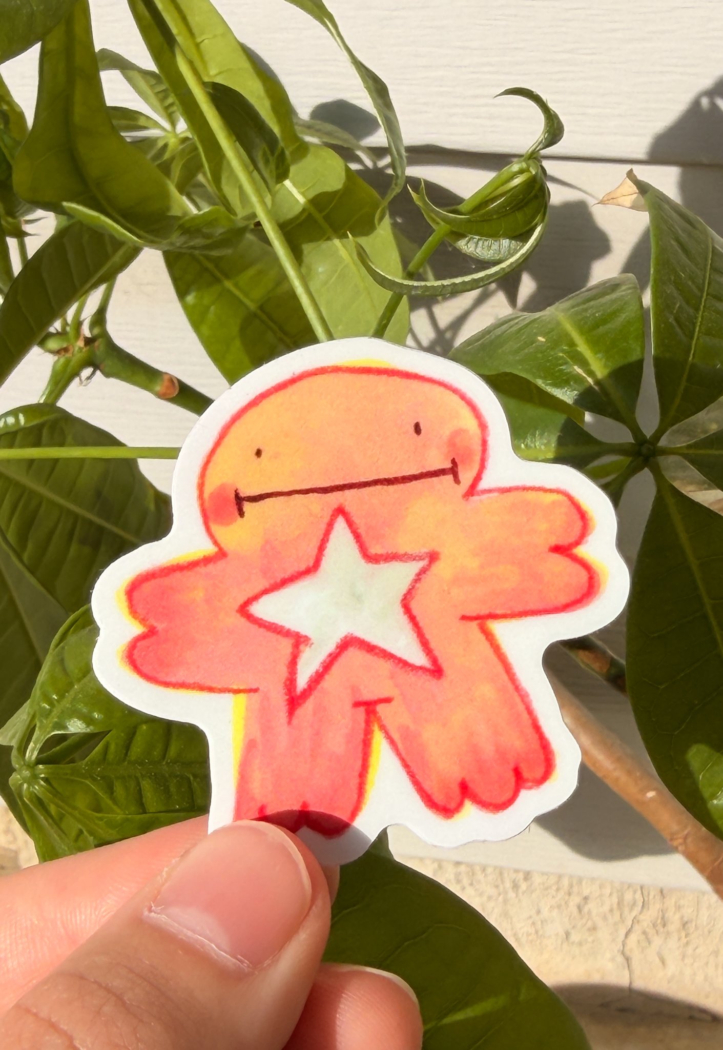 Star Boi Sticker