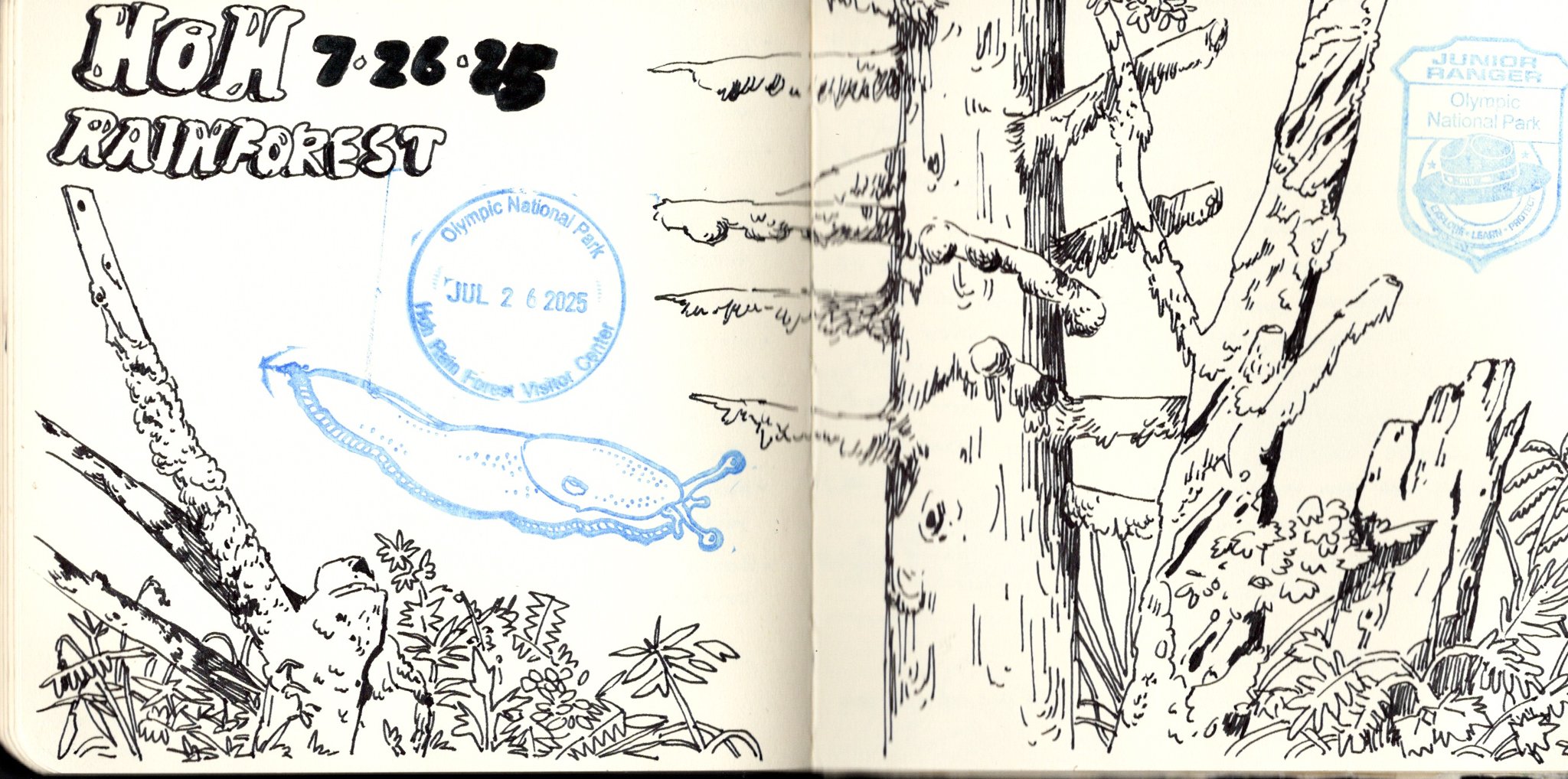Sketchbook-01-4.jpg