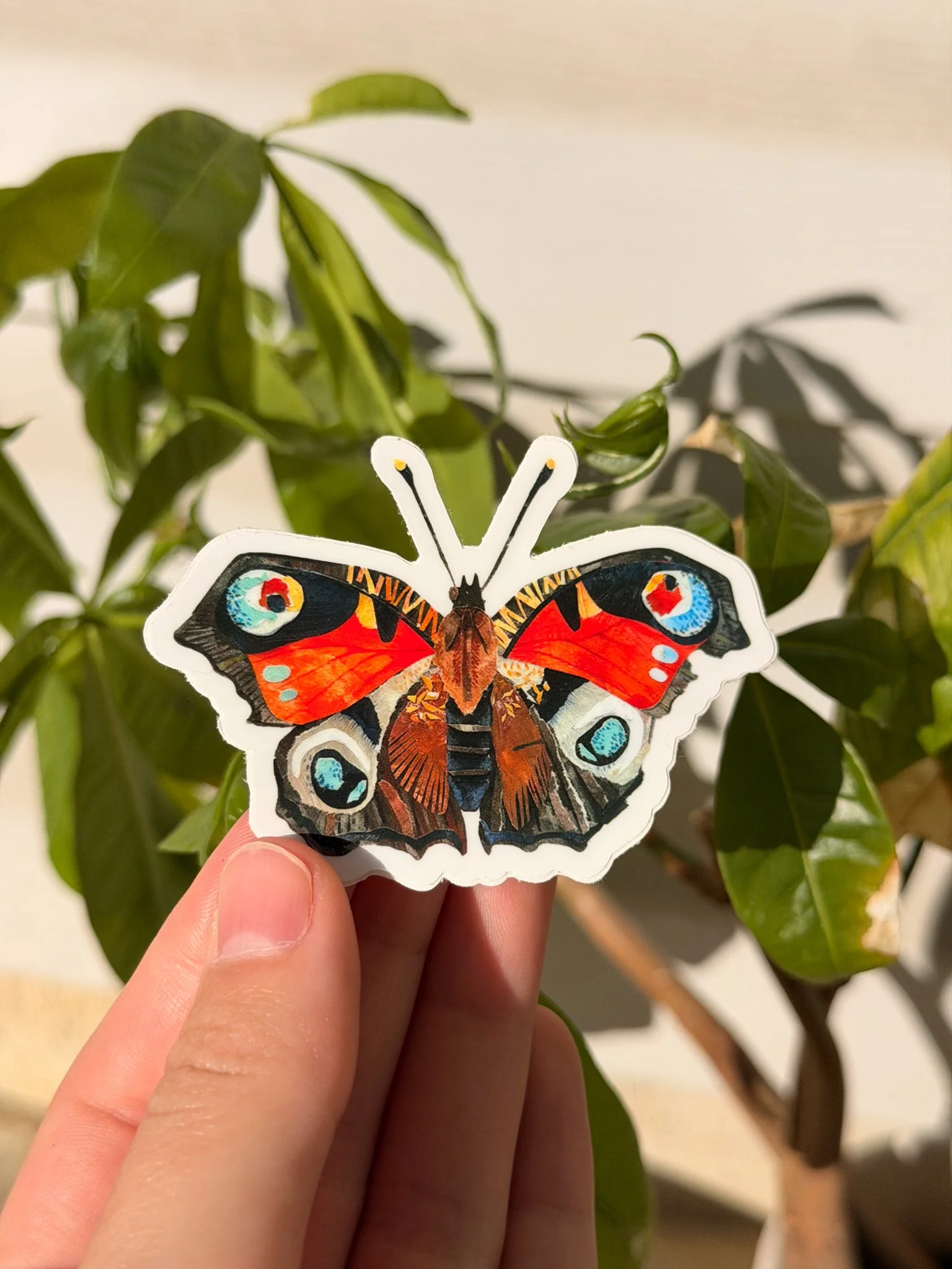 Butterfly Sticker