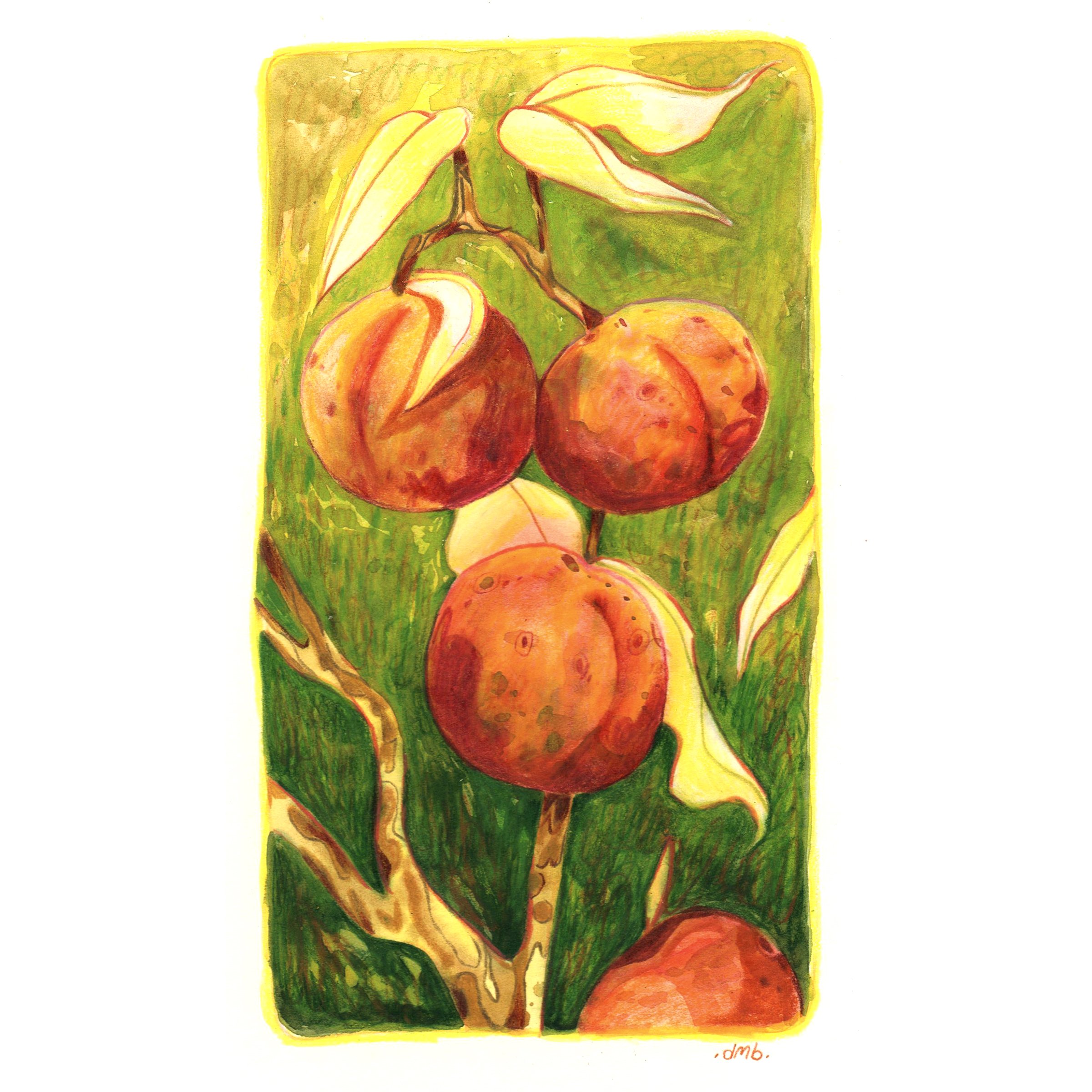 Peaches Original