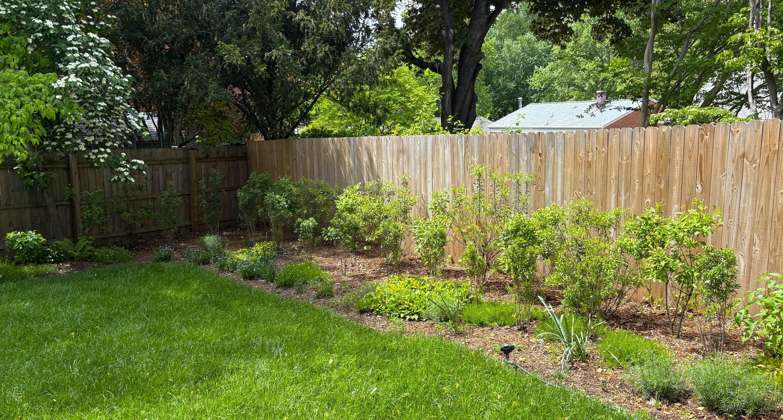 23103 Syburg Done 2.jpg