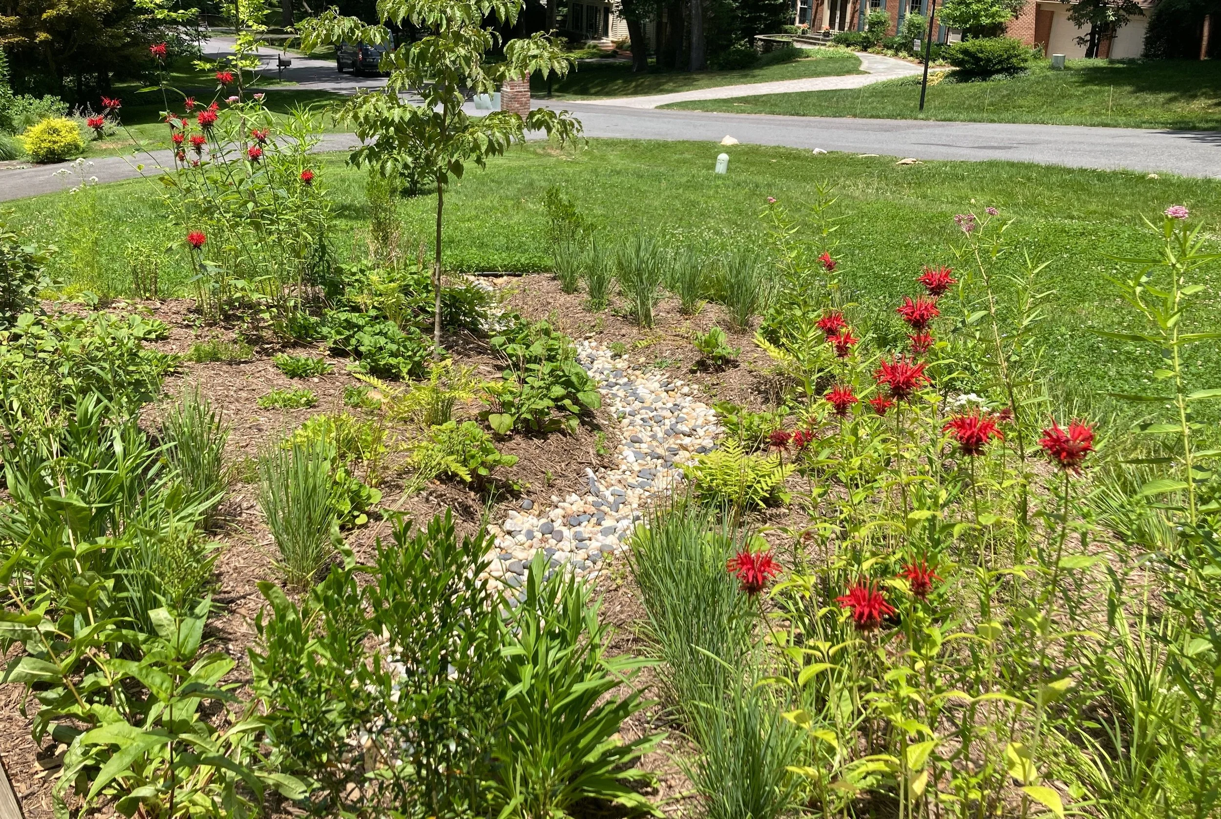 23111 A Hope Done 2.JPG