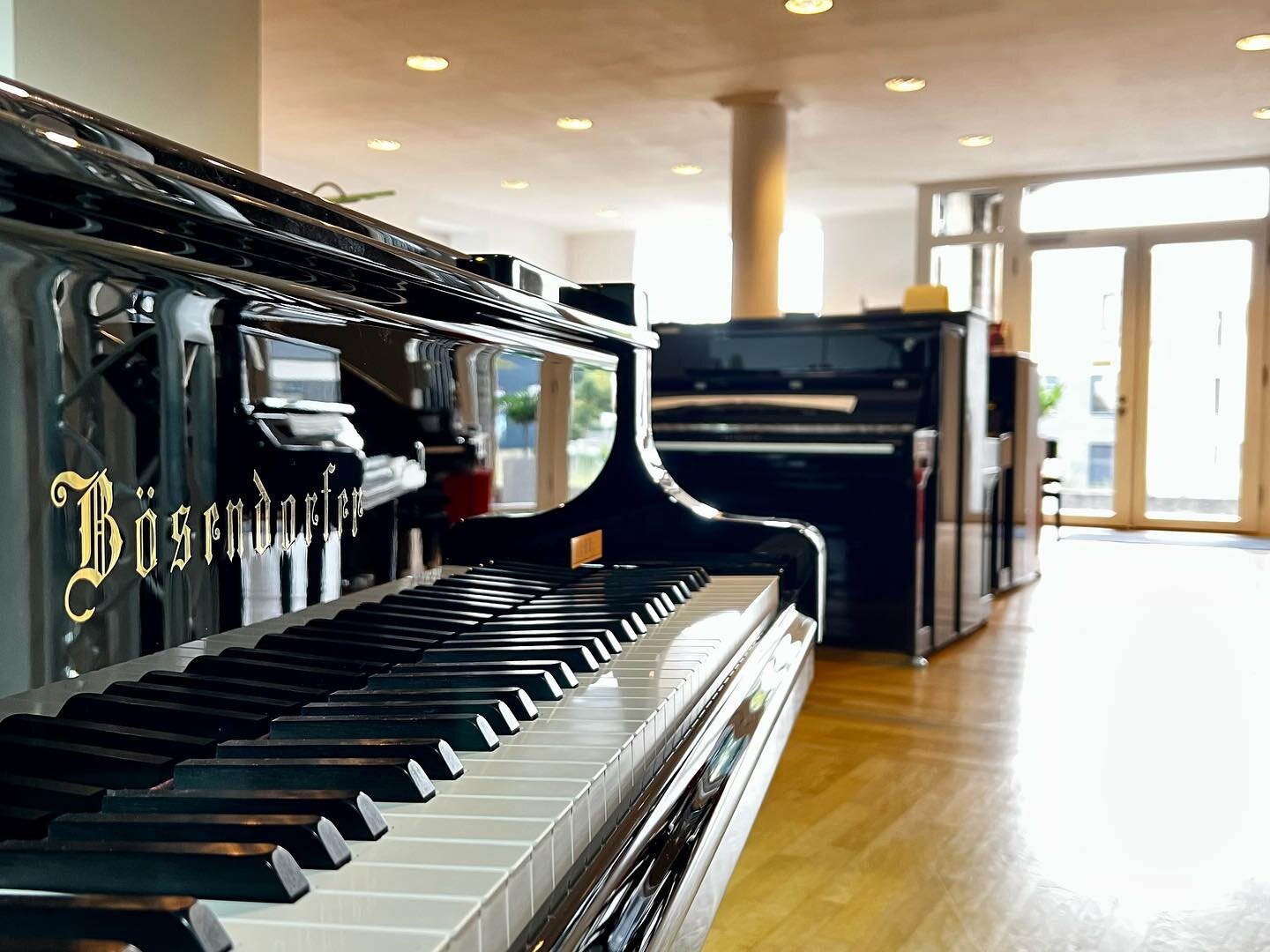 Entdeckt eis Selektioun u B&ouml;sendorfer Instrumenter, dem&nbsp;Feinsten aus der traditiounsr&auml;icher Wiener Pianosmanufaktur.
-
D&eacute;couvrez notre s&eacute;lection d'instruments B&ouml;sendorfer, le meilleur de la manufacture de pianos trad