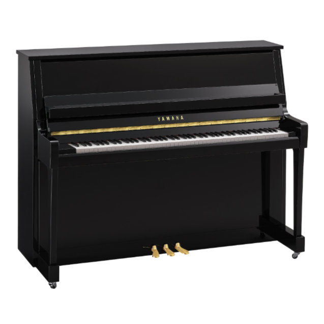 Yamaha B20