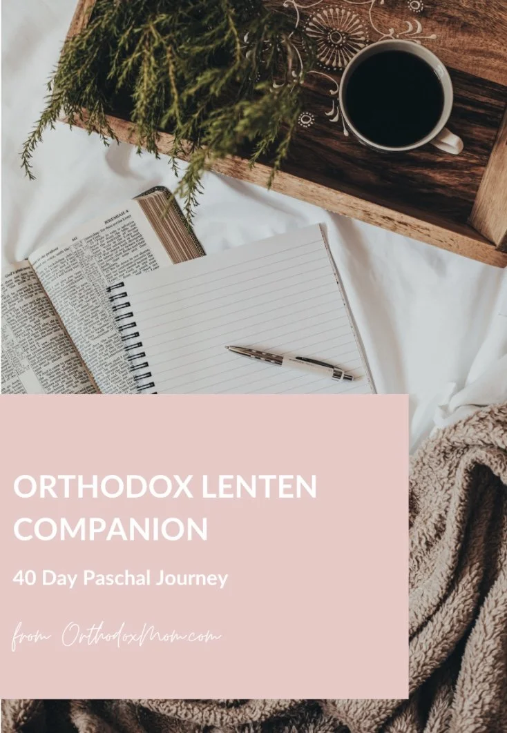 Image 2-17-25 at 1.20 PM.jpeg