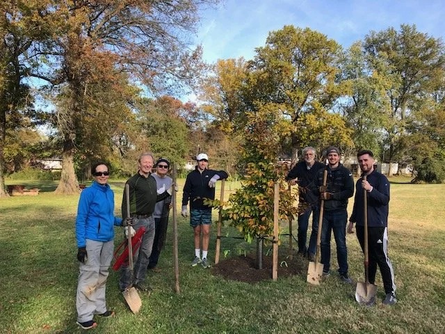 Tree planting at Lewinsville Park