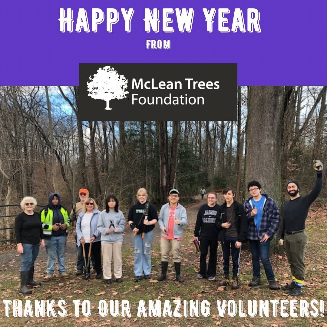 18 wonderful volunteers joined us at McLean Central Park on December 28th to finish up our year of invasive removal&mdash;we liberated many mature trees of ivy thanks to their efforts!  We are so appreciative of all our volunteers and hope to see you