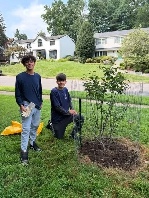 It was a beautiful day last Thursday when we collaborated with 4 high schoolers from the Young Men’s Service League who helped MTF weed and mulch trees we planted in recent years in Falstaff and McLean Hamlet Parks.  We really appreciate their