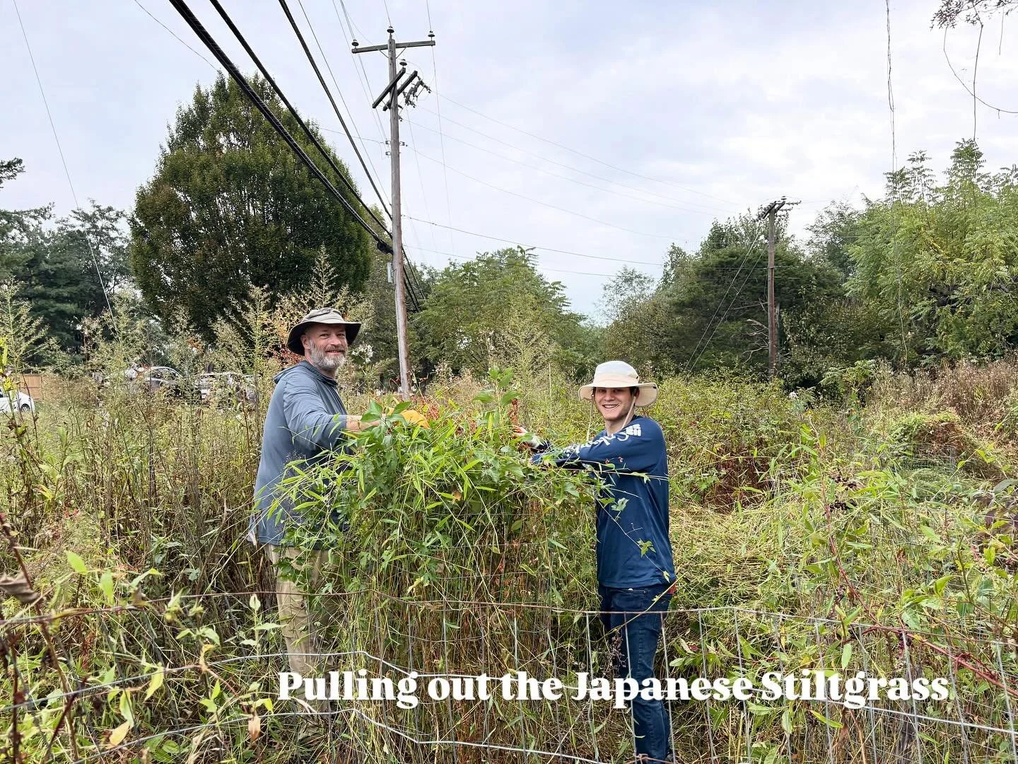 It was another marvelous early fall morning in Lewinsville Park, with our dedicated volunteers working hard to make sure that we remove the invasives from our native plant cages and bag up those that are still producing berries!  We are so excited to