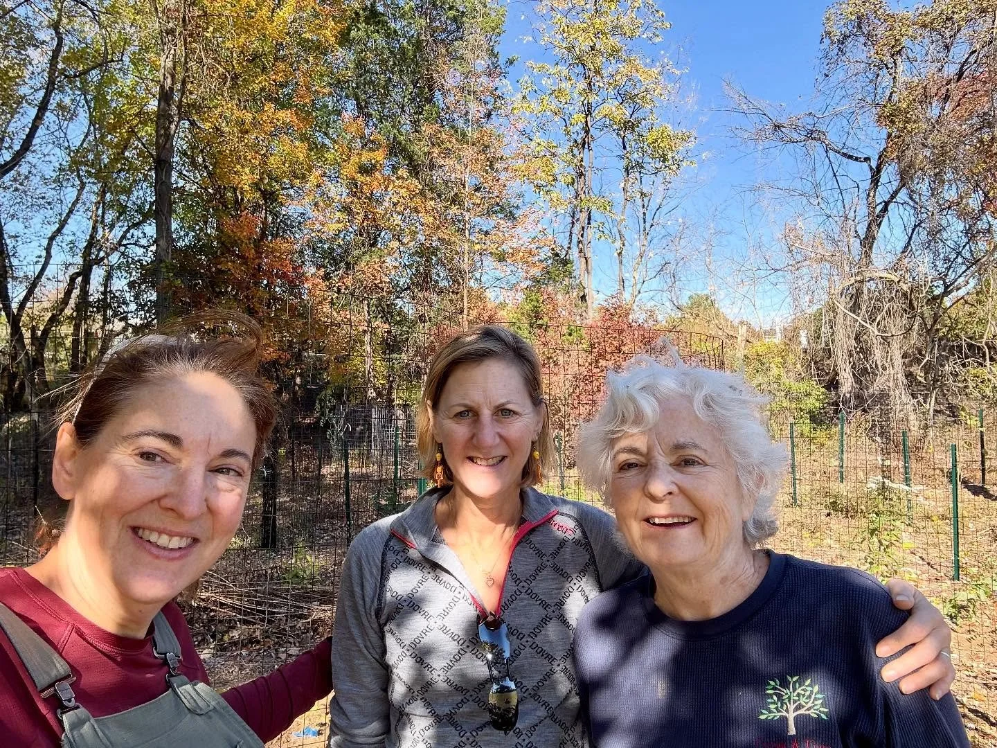 Holy Harry Potter Post-Halloween nightmare! Our volunteers seem to have mysteriously DISAPPERATED!  We arrived to find only a handful of faithfuls this morning in Lewinsville Park where we had a LOAD of native trees and plants that needed to be plant