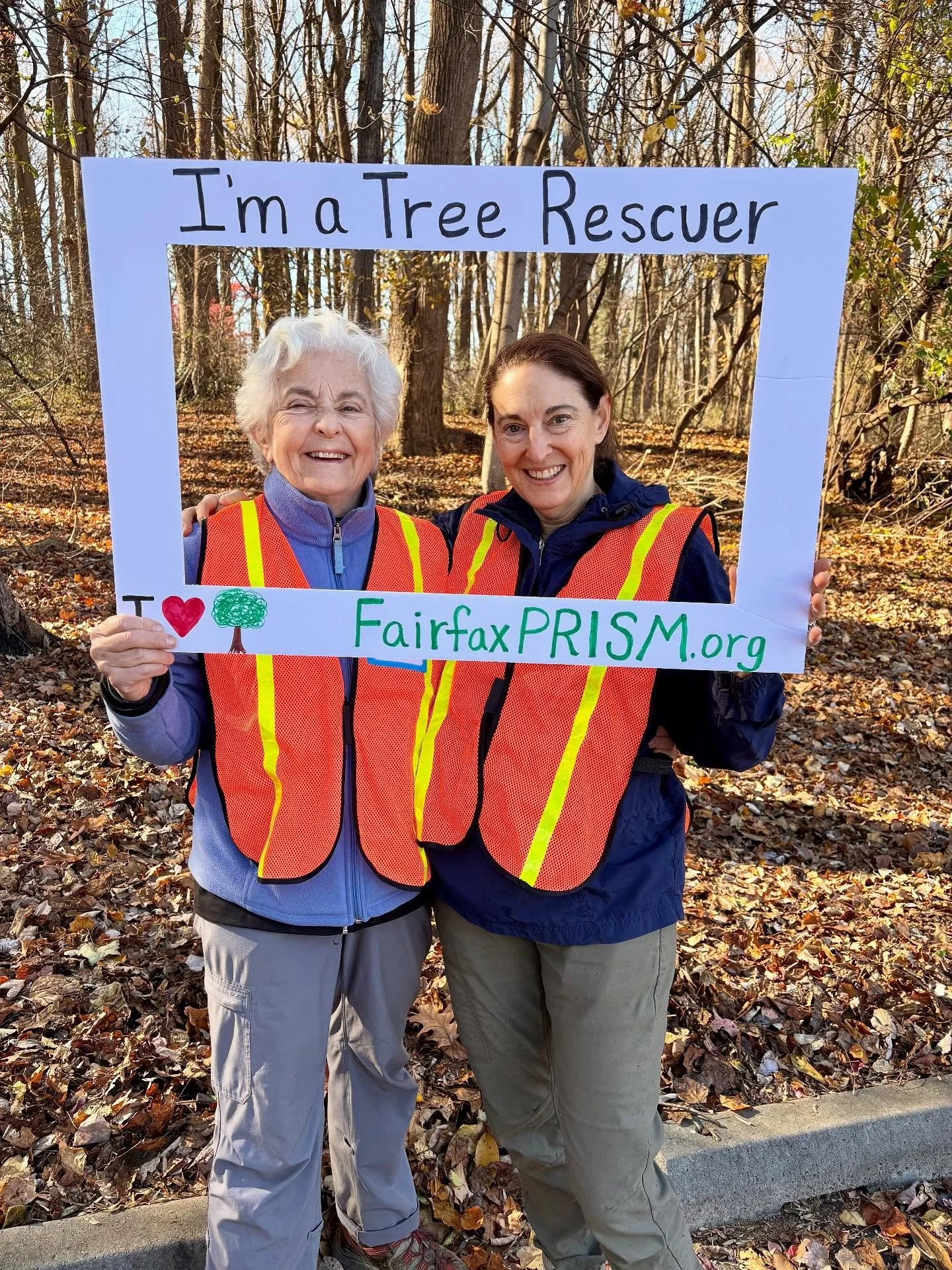 What a busy weekend we have had!  On Sunday afternoon several of MTF&rsquo;s  board members (and Tree Rescuers!) were asked to lead teams in Haycock Longfellow Park to remove invasive vines (namely English Ivy and the dreaded Wintercreeper) from the 