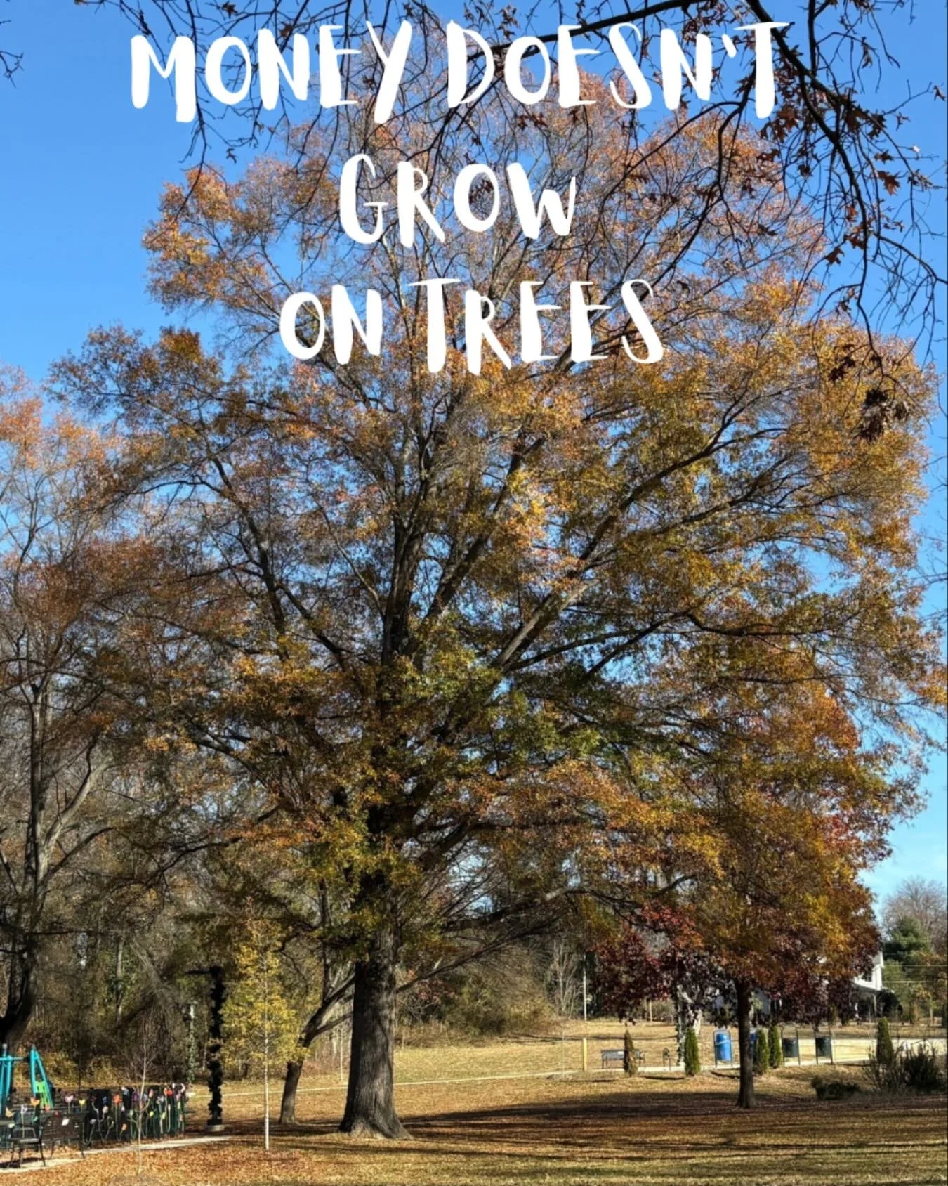 MTF logged about 1300 volunteer hours and planted almost 500 native trees and saplings this year in McLean parks, schools and residential properties and we can confirm this old adage is DEFINITELY true!  But the value of native trees is PRICELESS &md