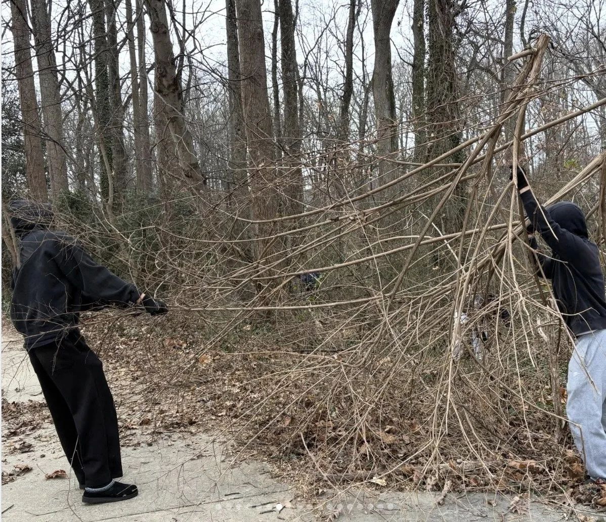 Invasive Species Removal at McLean Central Park Cancelled due to impending storm.