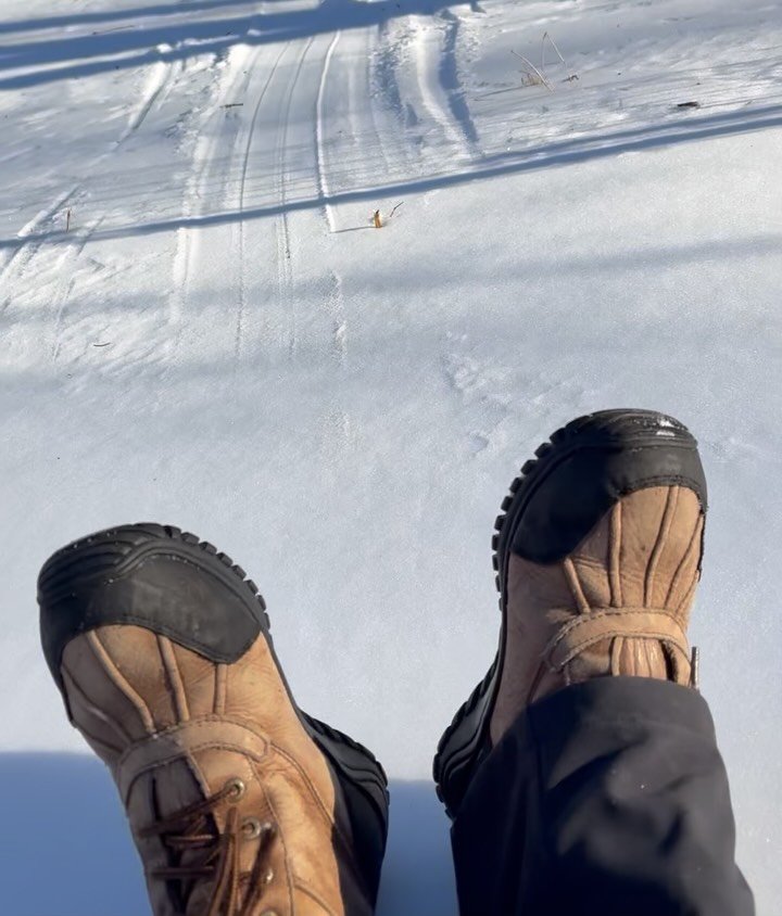 This MTF Board Member/IMA site leader, overcome with cabin fever, decided to venture out into Greenway Heights Park today despite the icy snow pack, carefully sliding into the woods and discovering there is a great advantage to hunting for invasives 