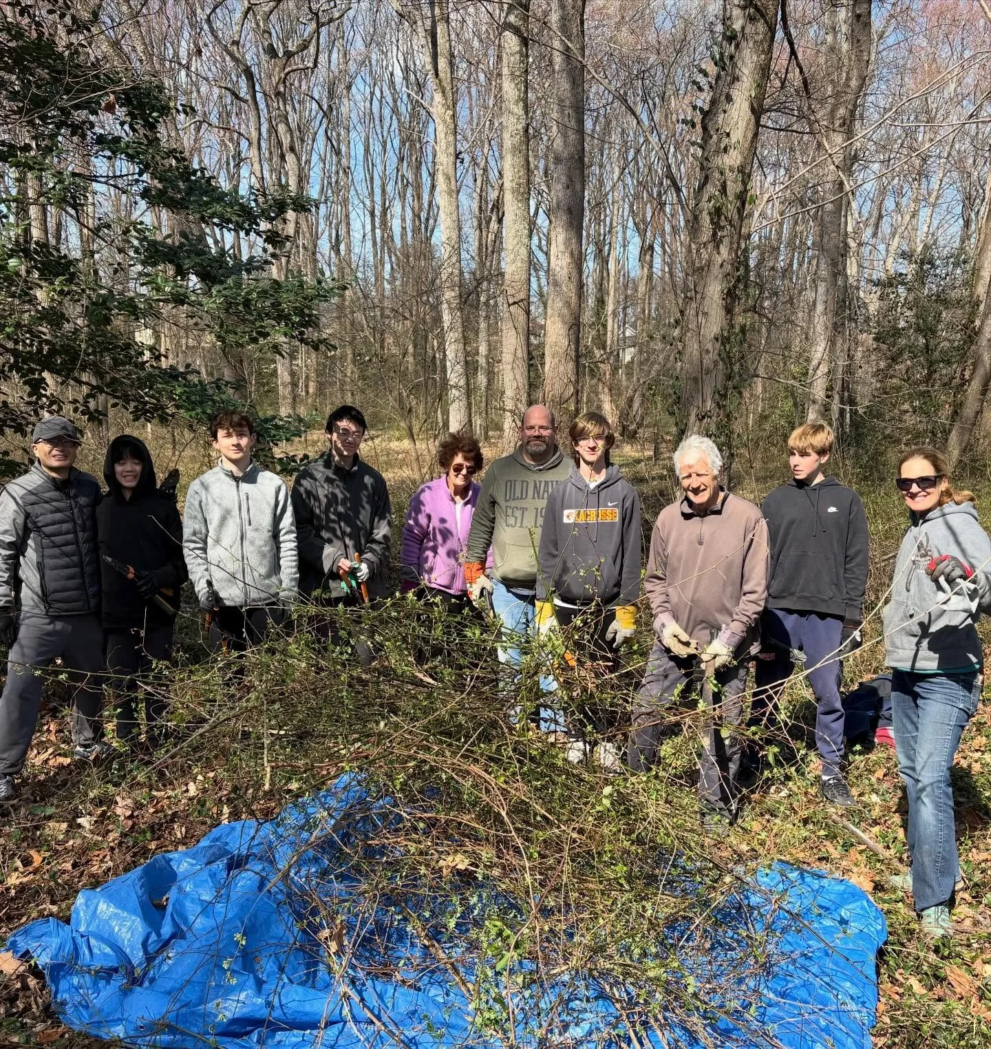 This morning turned out to be fabulously sunny and warm and we had a nice bunch of volunteers show up to work in McLean Central Park as we continue to clear the invasive brush around the creek bed and pull English Ivy and Winter creeper along the mai