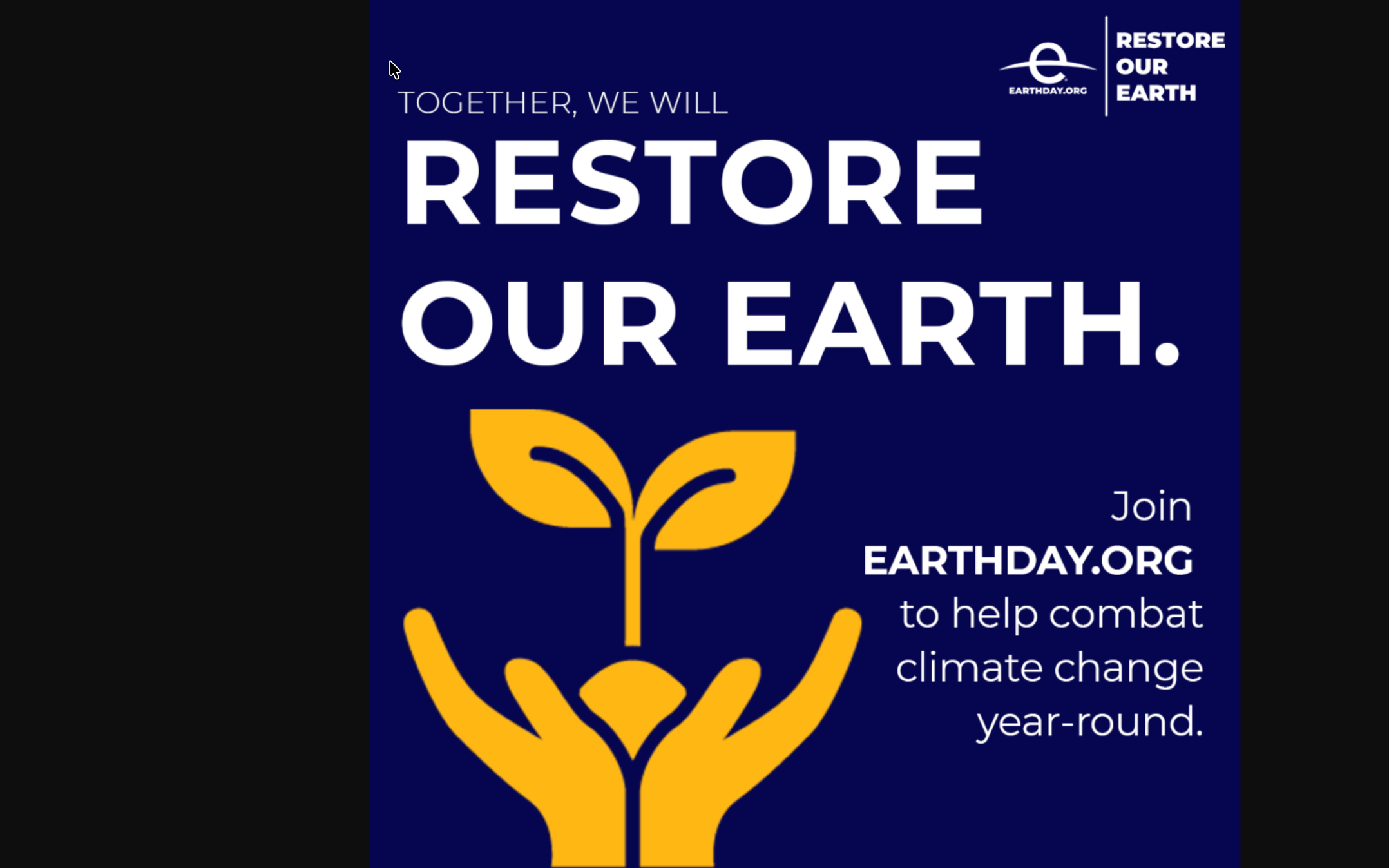 Invasive Species Removal at Lewinsville Park