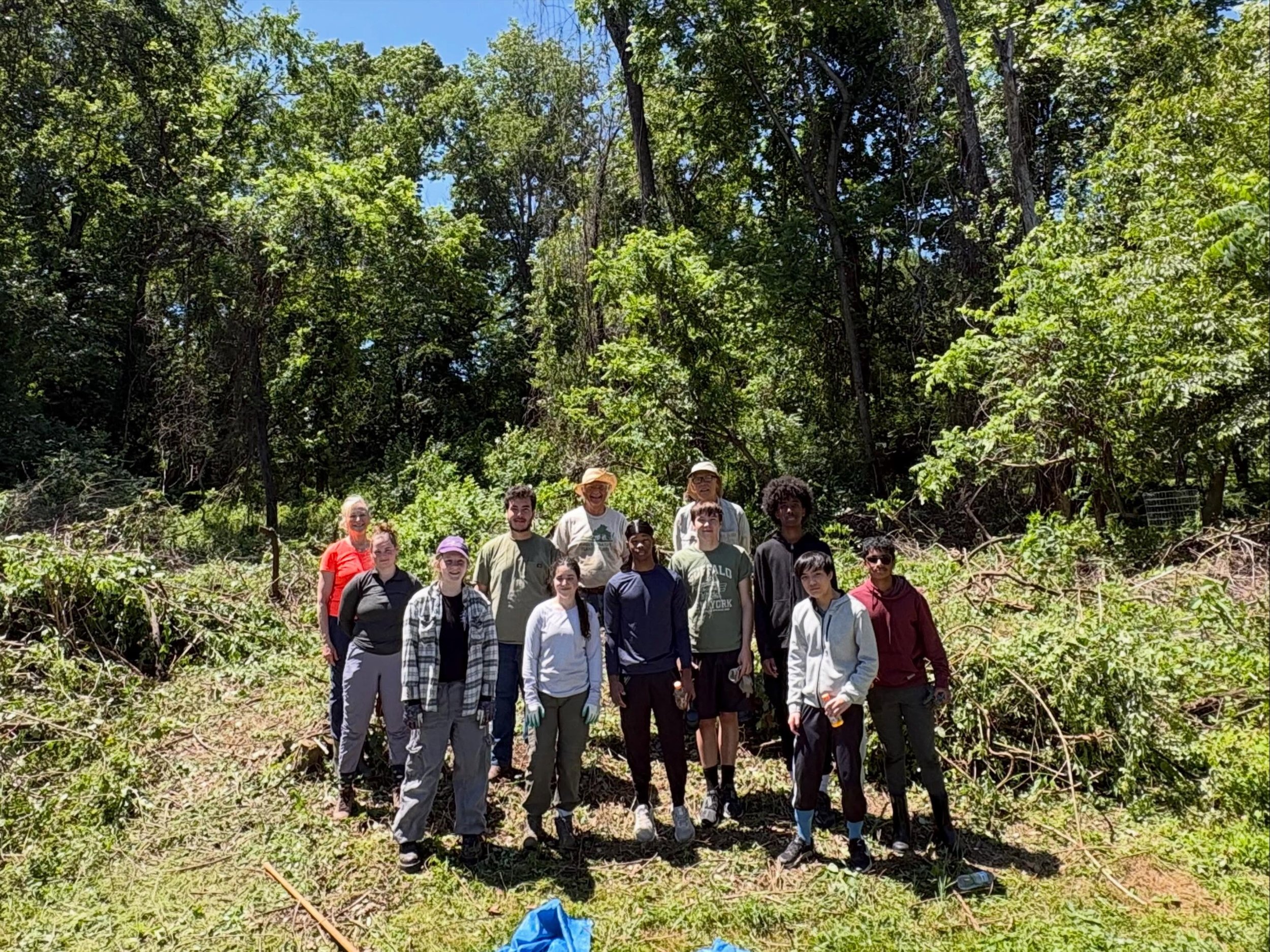 Our 16 MTF Volunteers in Greenway Heights Park this morning were truly UNSTOPPABLE!  They attacked a giant patch of invasive ICK that looked like a war zone after the county removed a grove of Tree of Heaven and in merely two hours managed to clear o