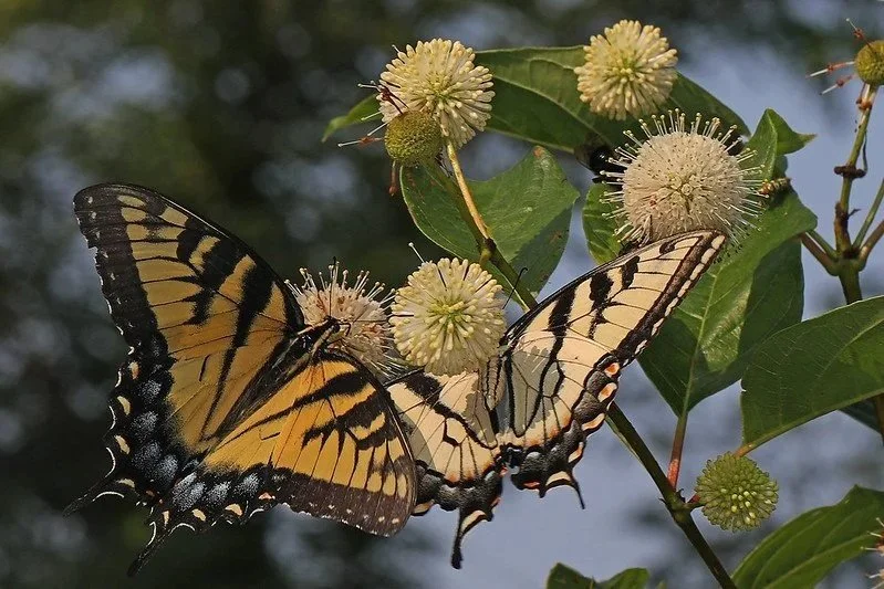 2025: A Year of Growth