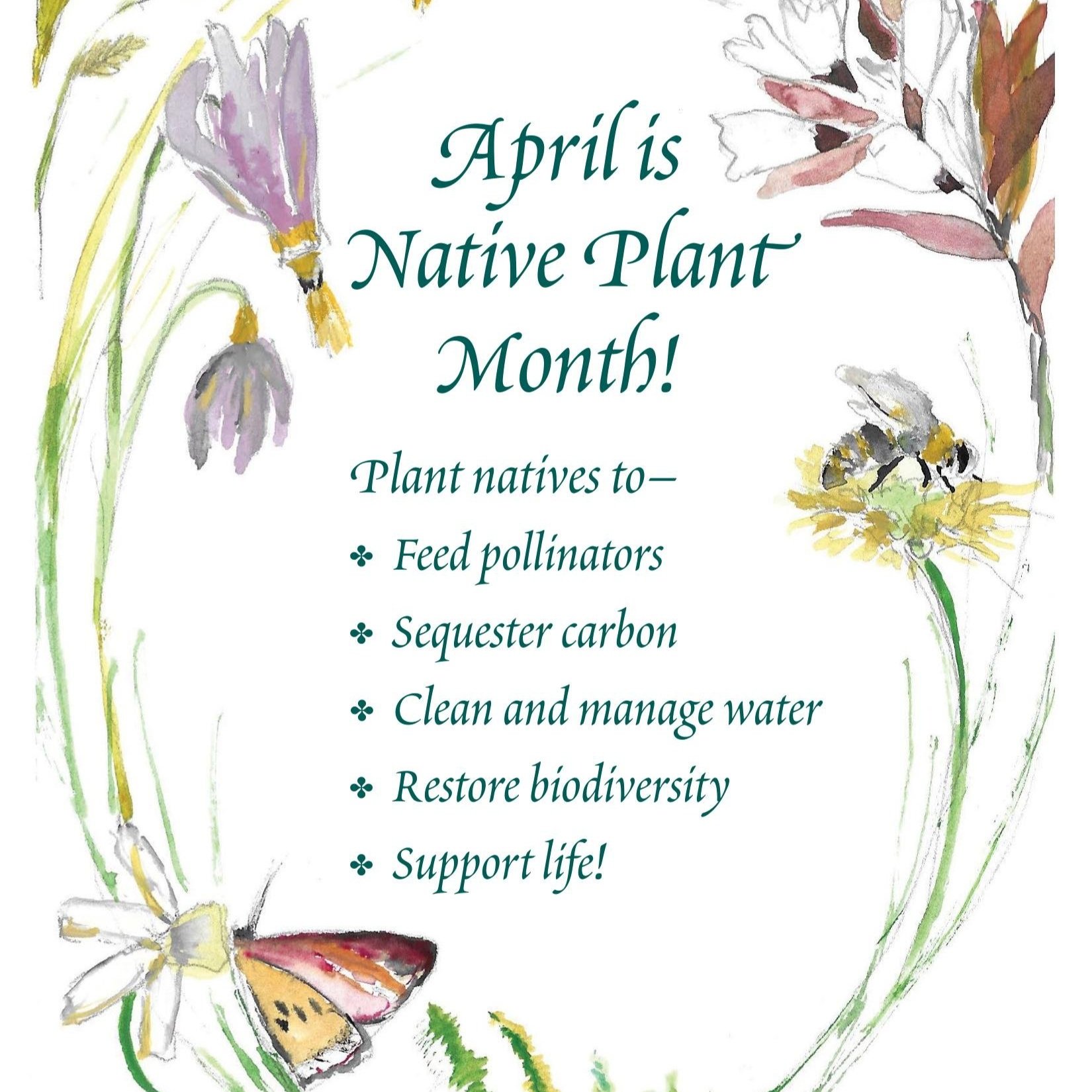 April Native April is Native Plant Month! β McLean Trees Foundation