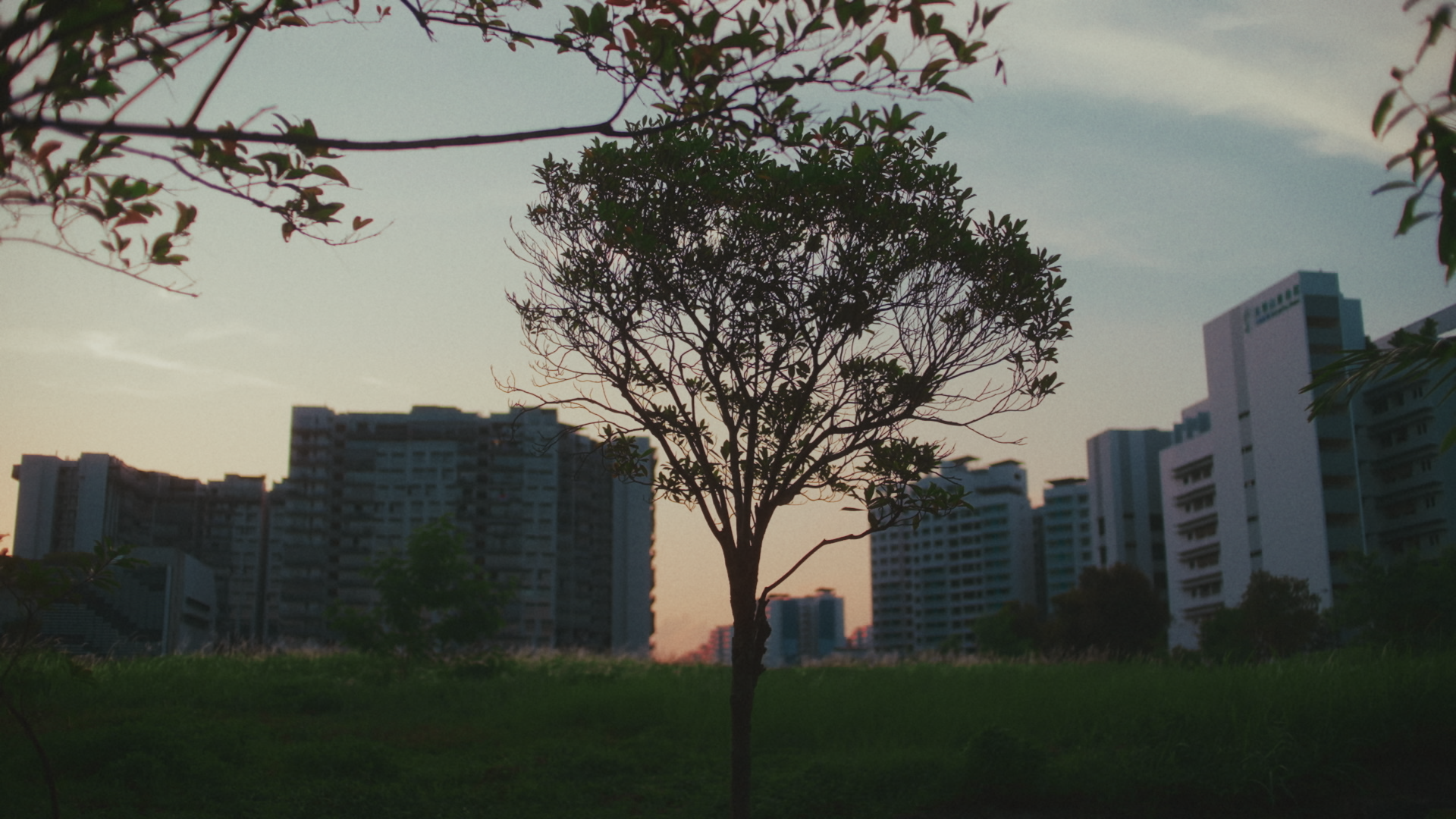vlcsnap-2025-10-29-02h25m38s352.png