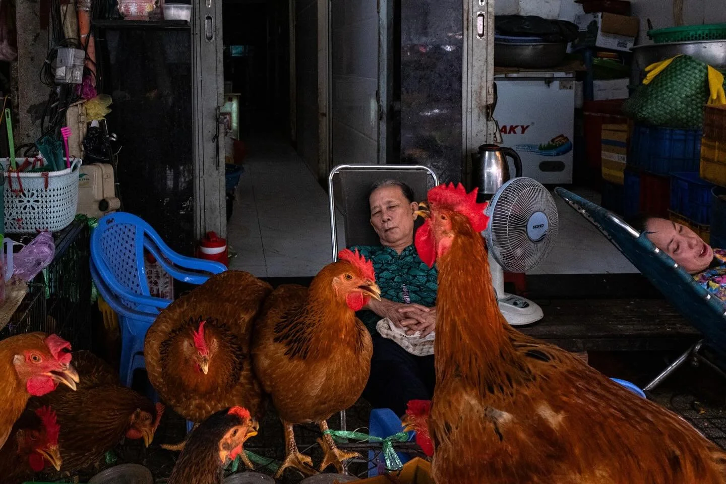 Street life in Vietnam is lively and intense.  From food stalls to street barbers, from games to moments of quiet relax. On every corner, there&rsquo;s a small story waiting to be told! 🐓 ♟️ 💤 🥥 Check out reportage on my website. Link in bio! 👆
#