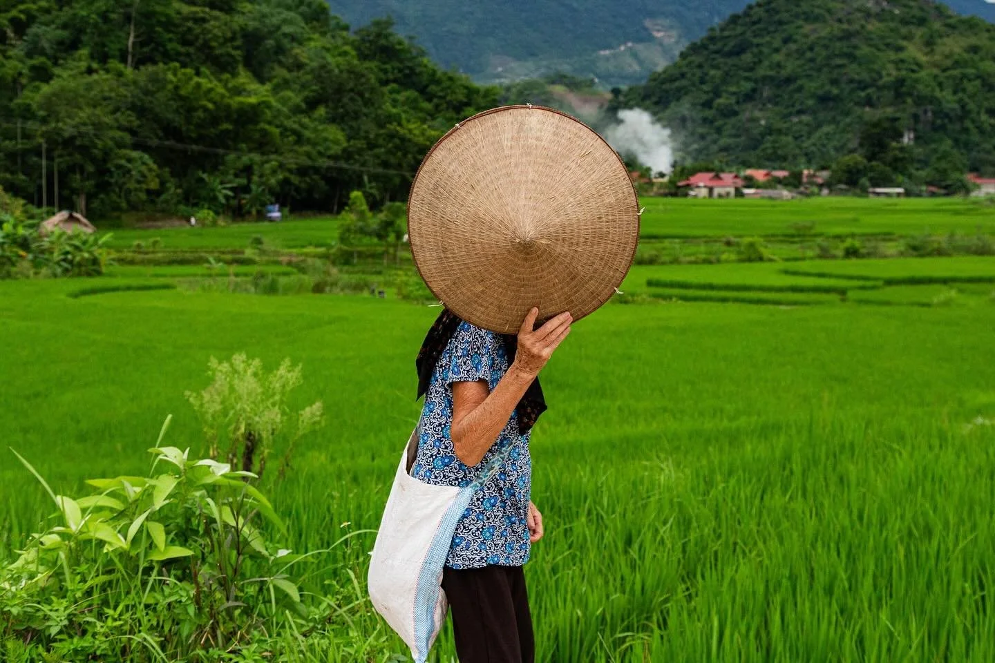 Vietnam Mon Amour 🇻🇳&ndash; Chapter 3
Pu Luong. Life flows quietly in this valley. The mountains are covered with tropical rainforest, while the valley below are shaped by endless rice terraces, shaped by generations of hands working in rhythm with