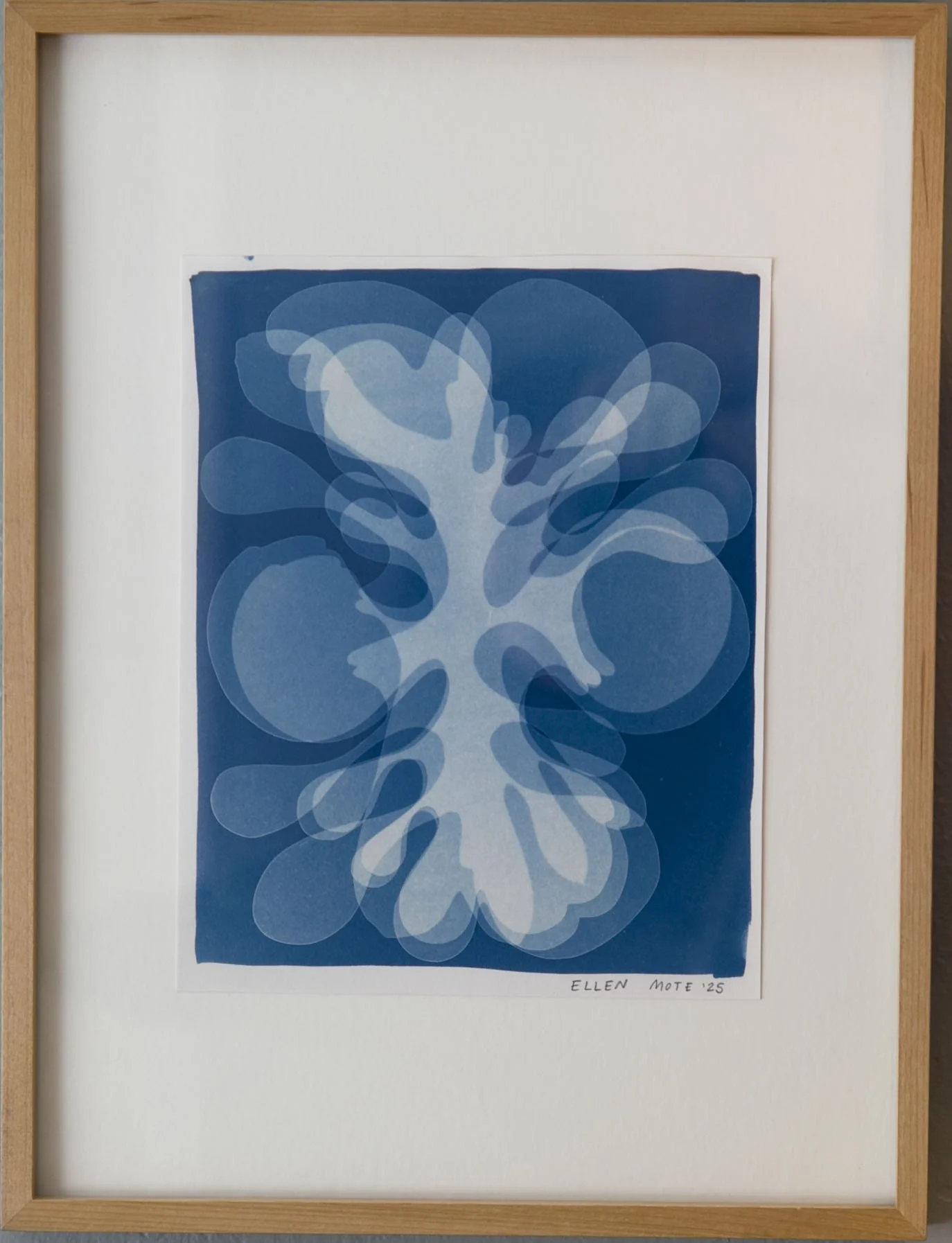 cyano sideways 27.jpg