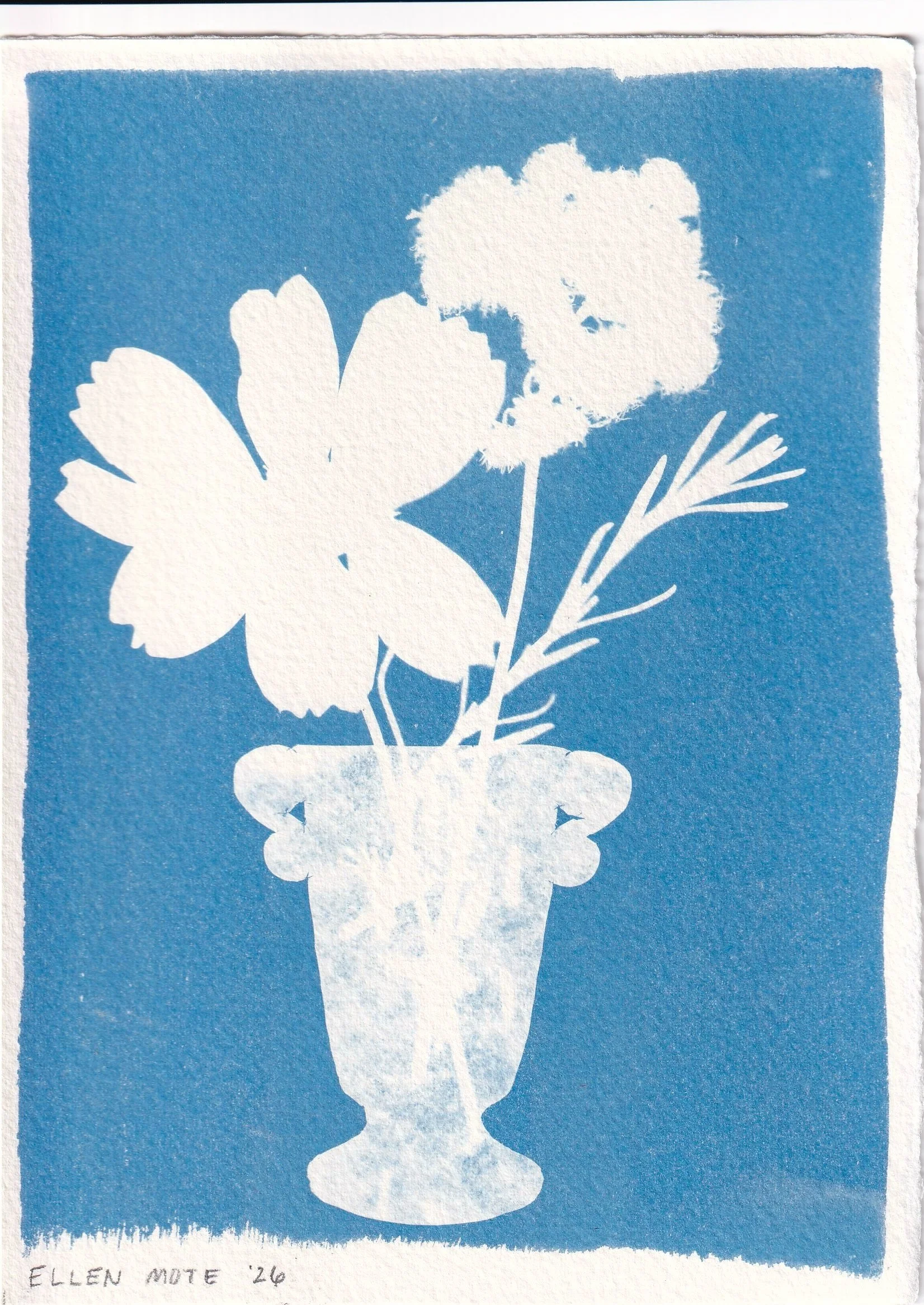 Mini SUPERBLOOM Cyanotype 5